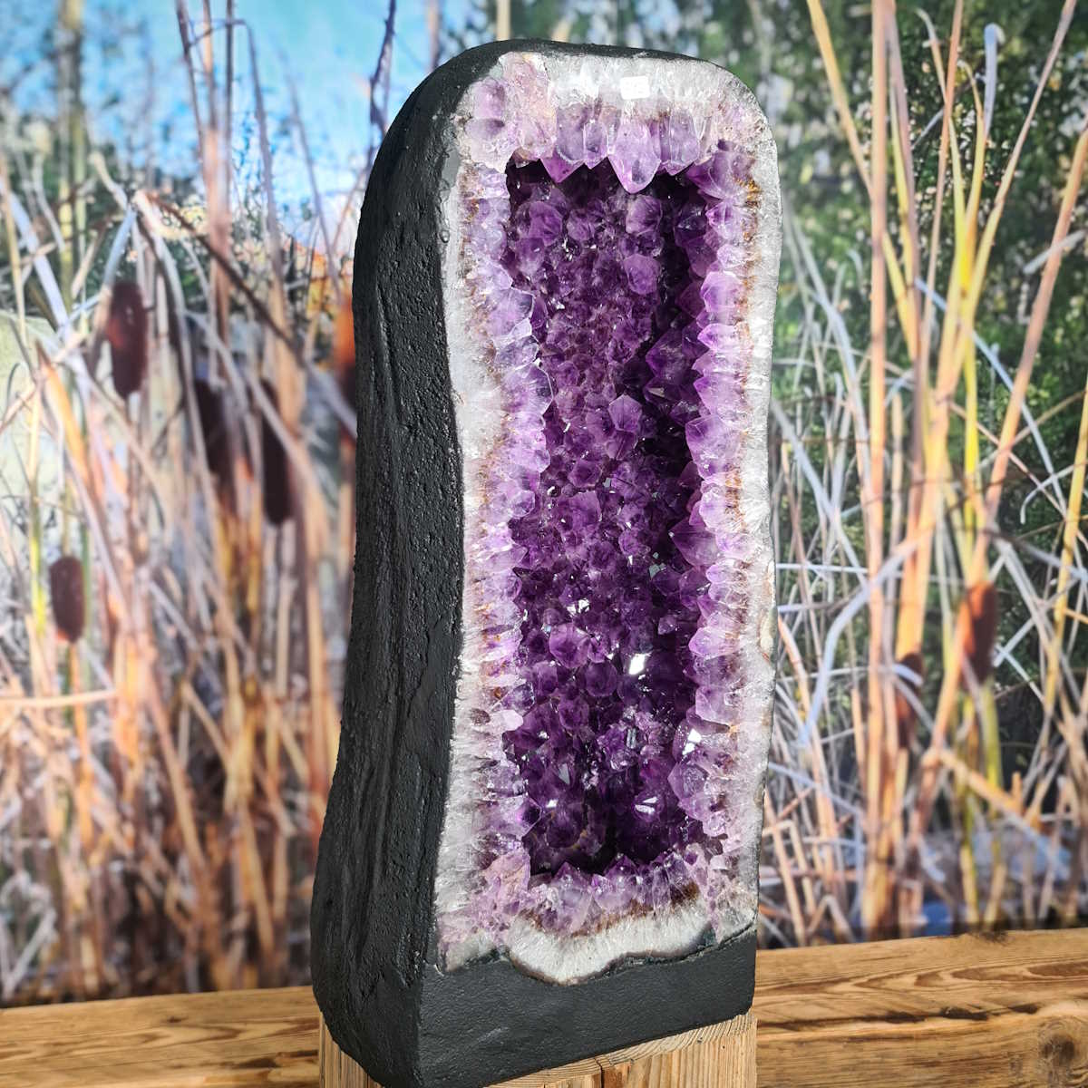 Amethyst Druse aus Brasilien