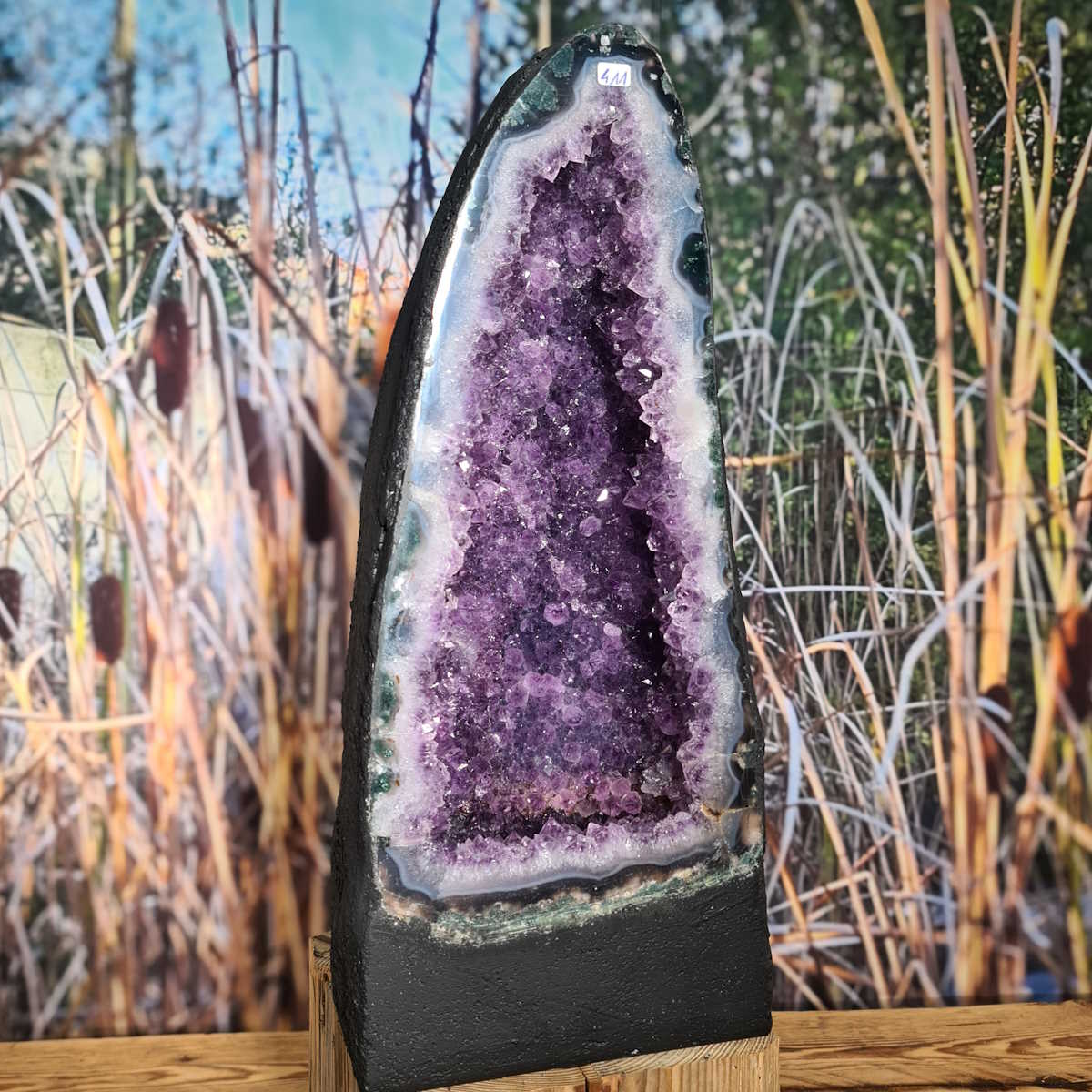 Amethystdruse, Amethyst Geode – Frieden und Harmonie, UNIKAT Nr. 411 in a natural setting, showcasing its unique purple interior.