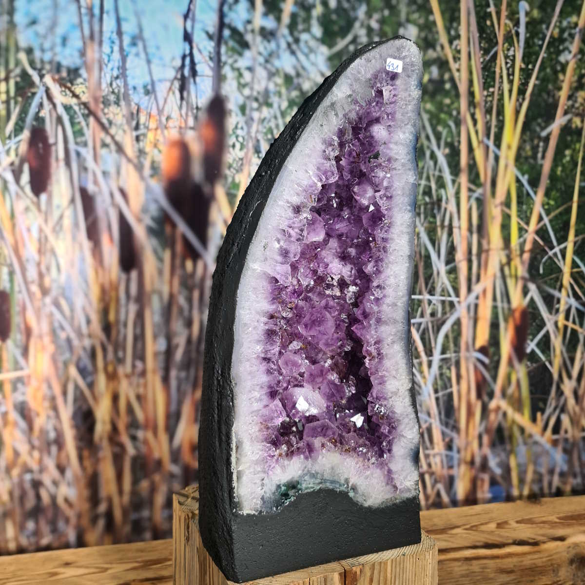 Brasilien Amethyst kaufen bei Steinwelten 