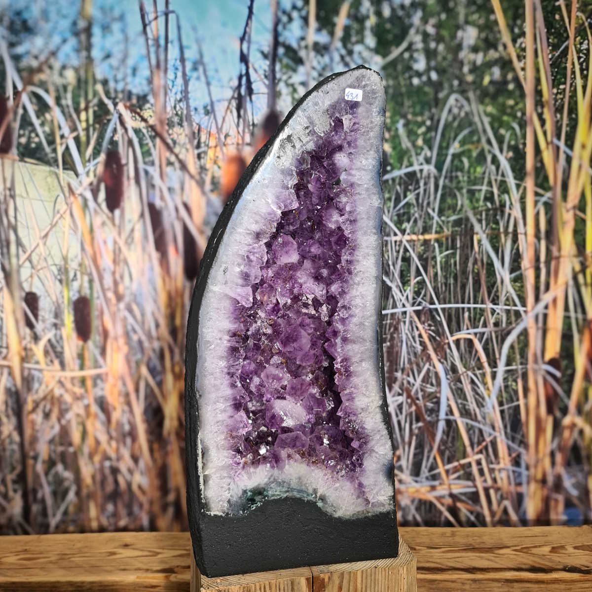 Brasilien Amethyst kaufen bei Steinwelten 
