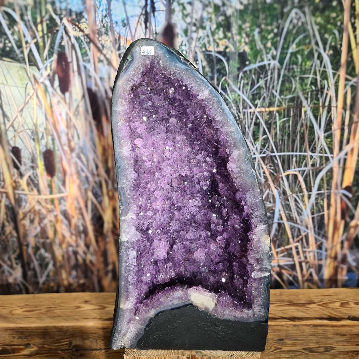 Amethyst aus Brasilien kaufen bei Steinwelten 
