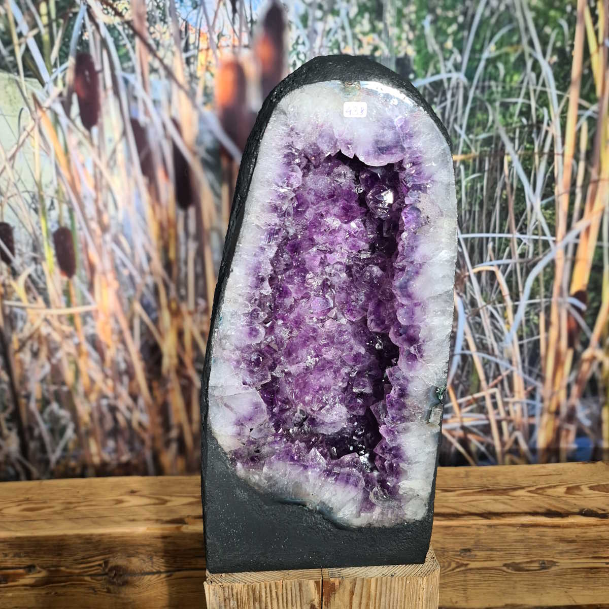 Amethyst-Druse-Geode