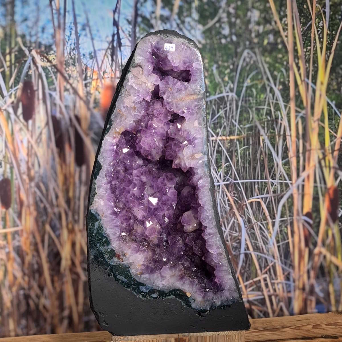 Amethyst kaufen bei Steinwelten 