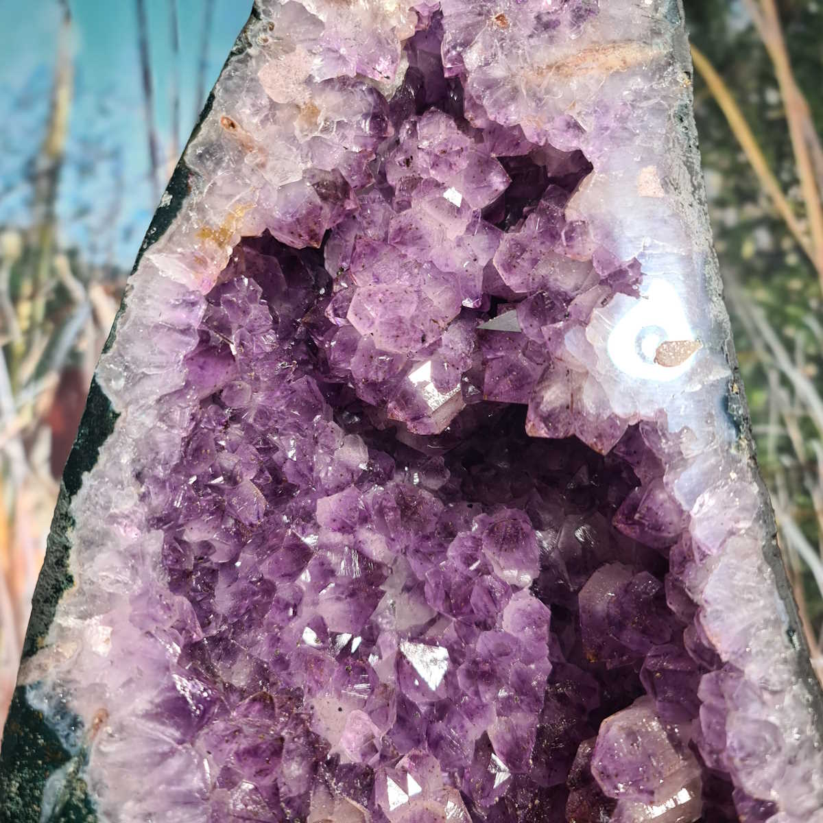Amethyst kaufen bei Steinwelten 