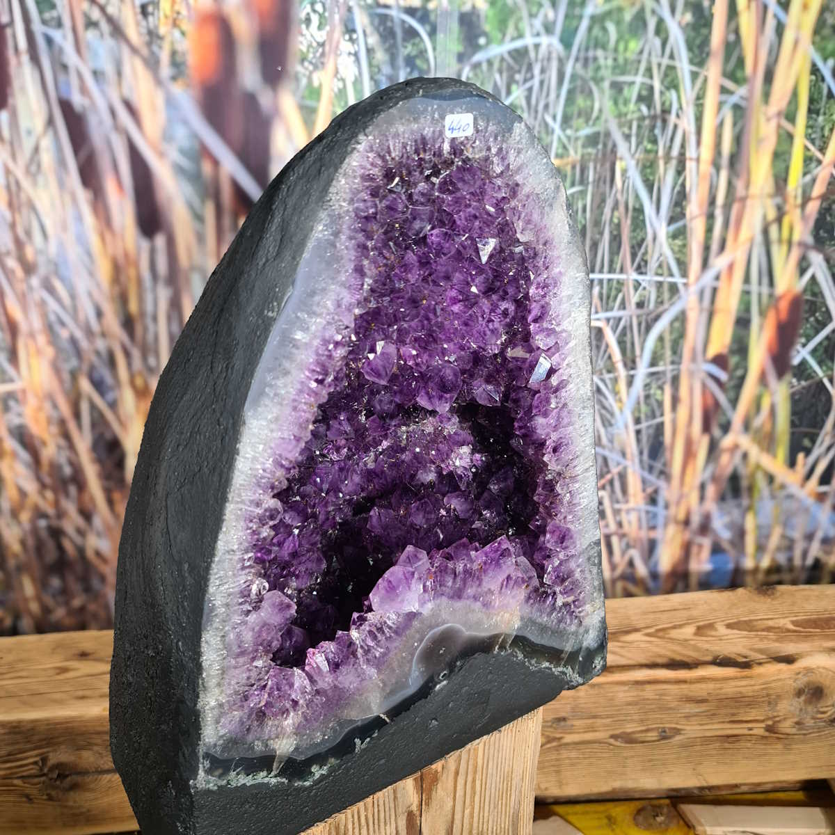 Amethystdruse von Brasilien 