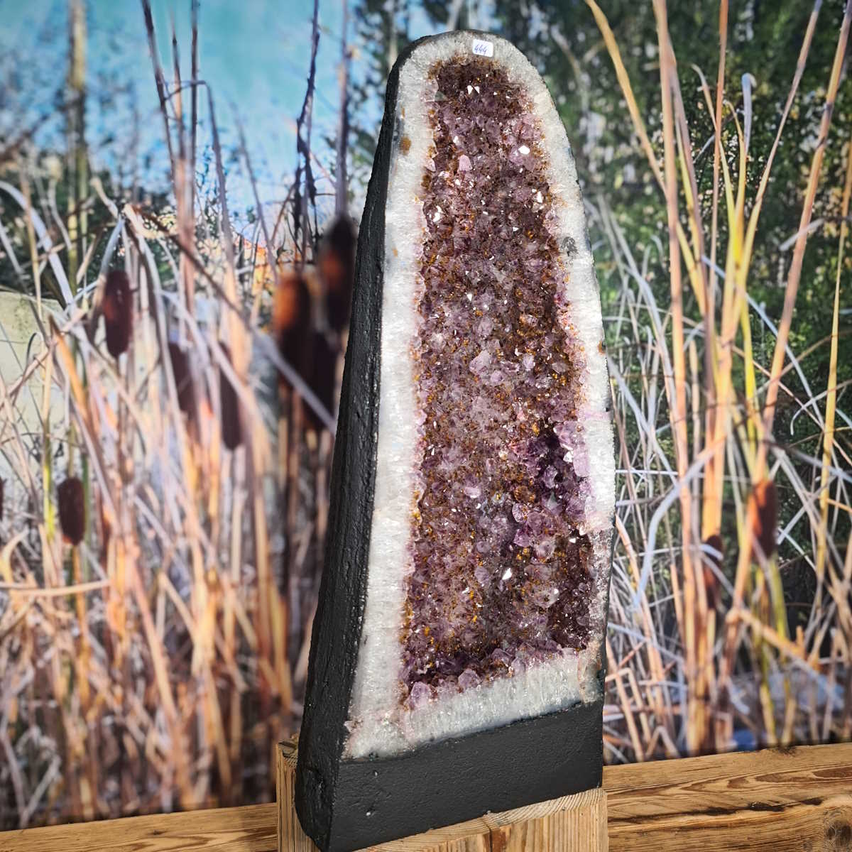 Amethyst Geode