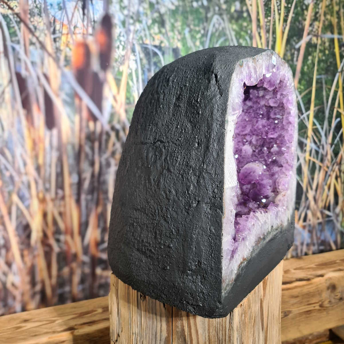 Amethyst Druse von Steinwelten 