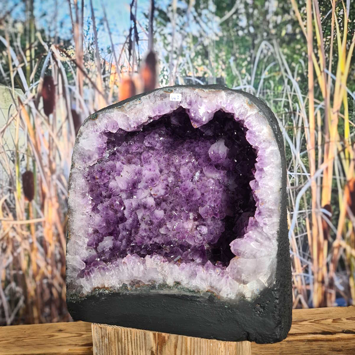 Amethyst Druse von Steinwelten 