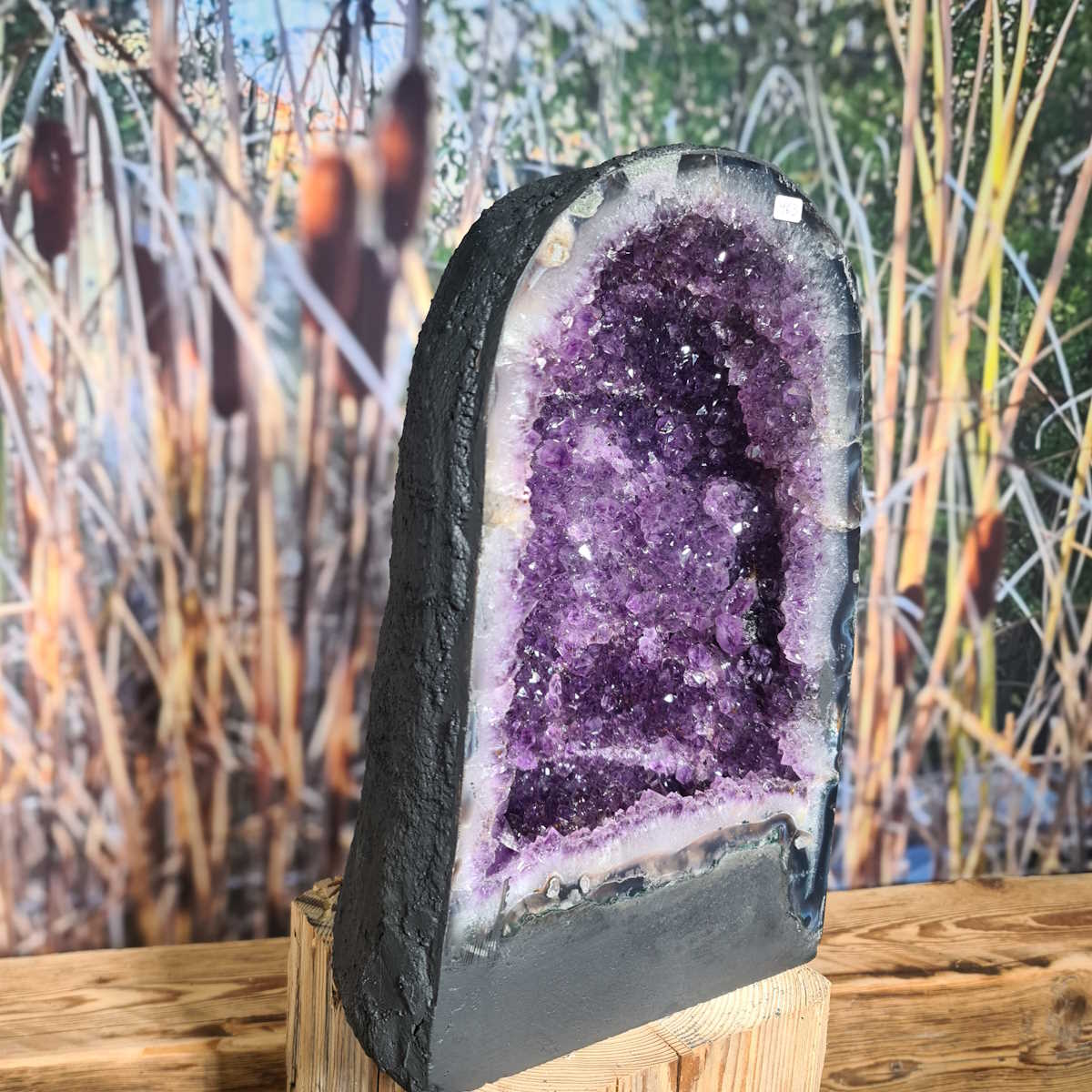 Amethyst Druse mit kleinen Kristallen