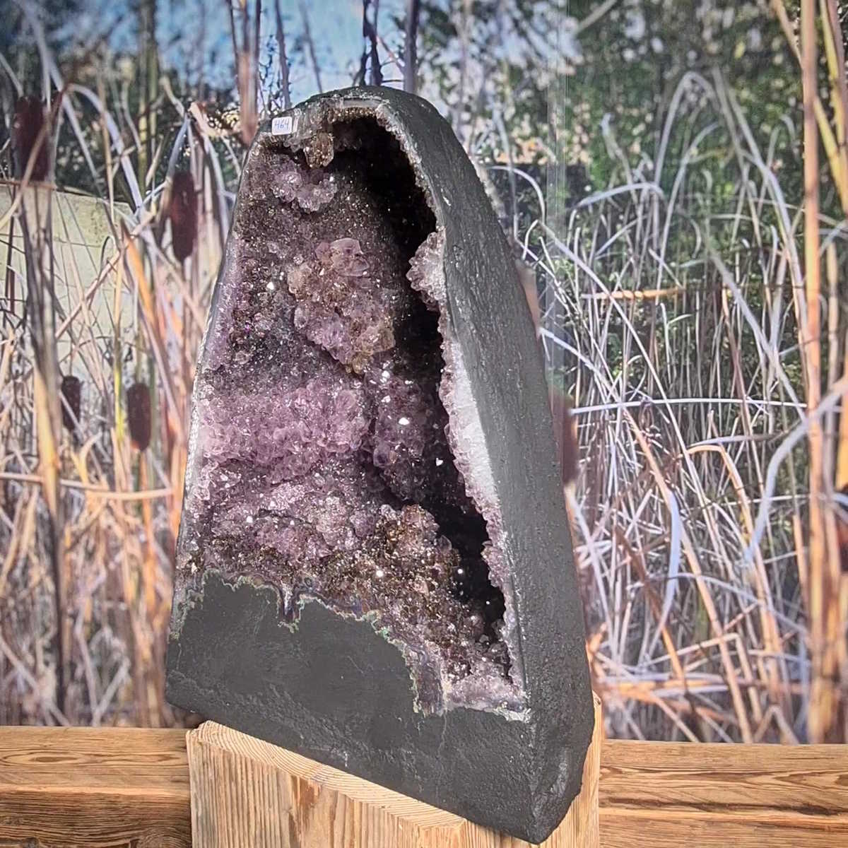 Amethyst Drusen Steinwelten 