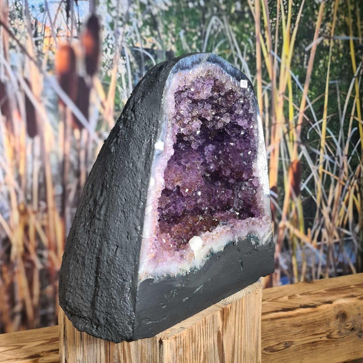 Amethyst Druse Steinwelten 