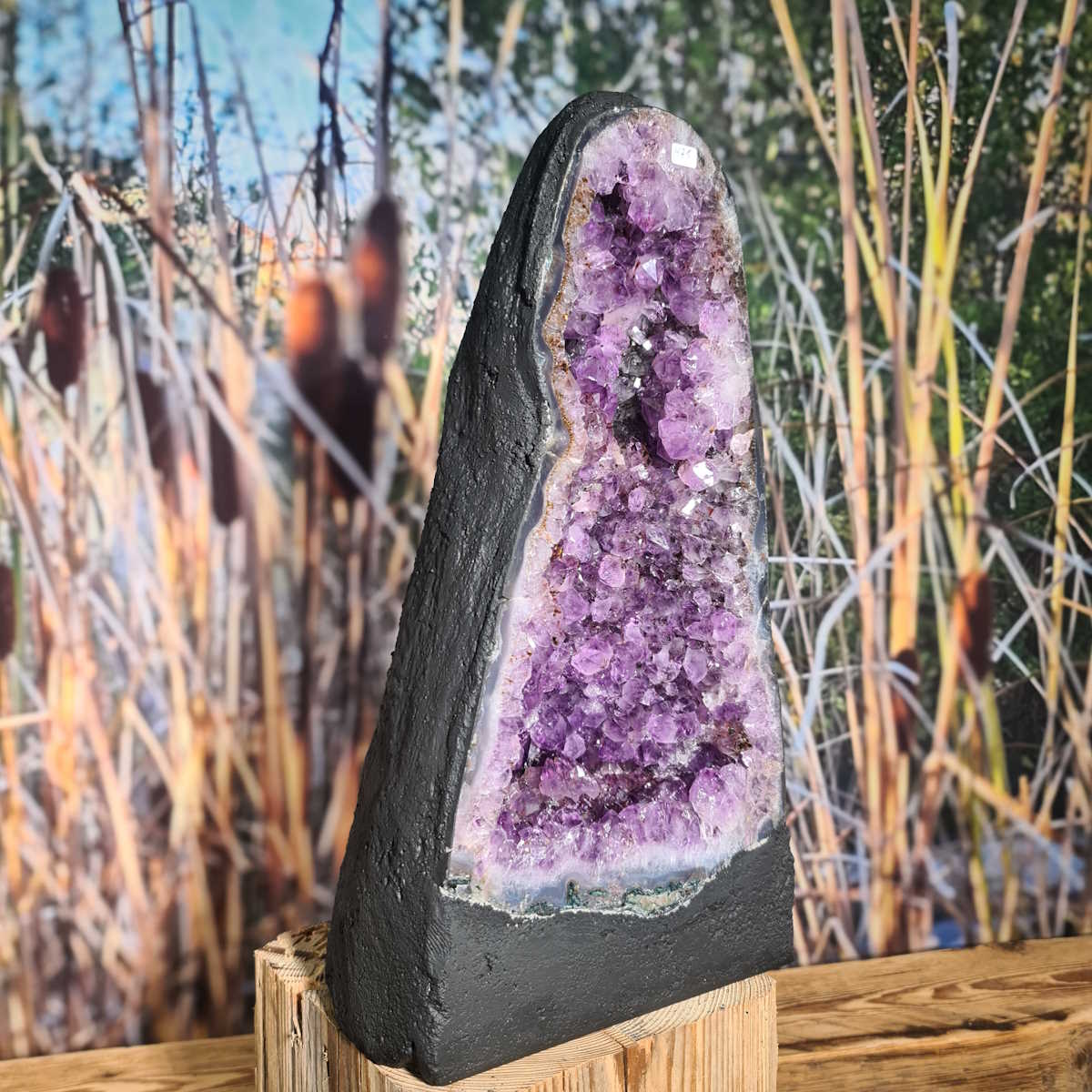 Amethyst Geode mit chalcedon Rand