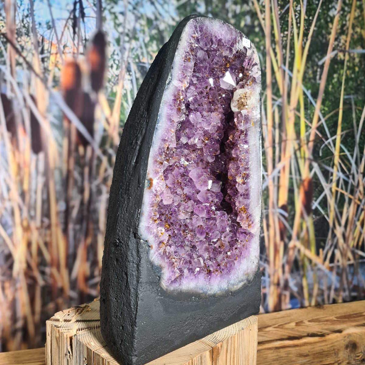 Amethyst Druse mit Rutil