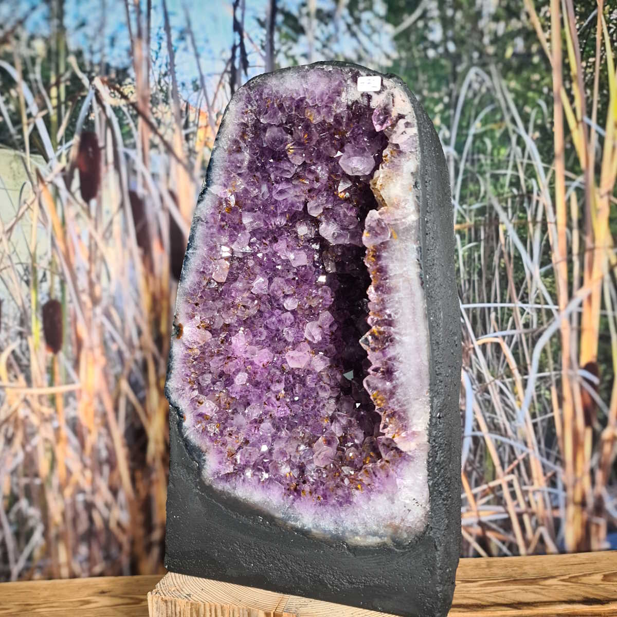 Amethyst Druse mit Rutil