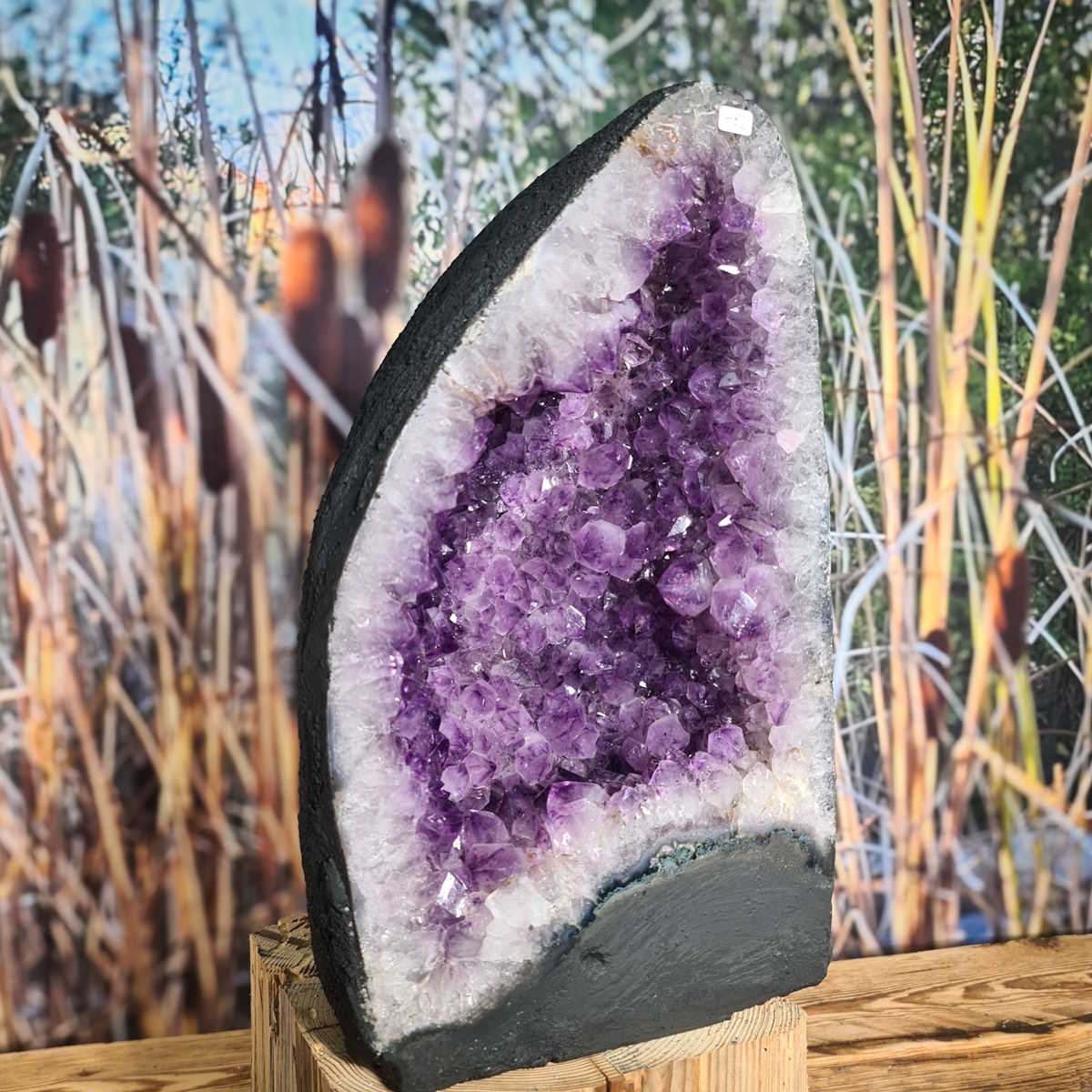 Amethyst kaufen bei Steinwelten 