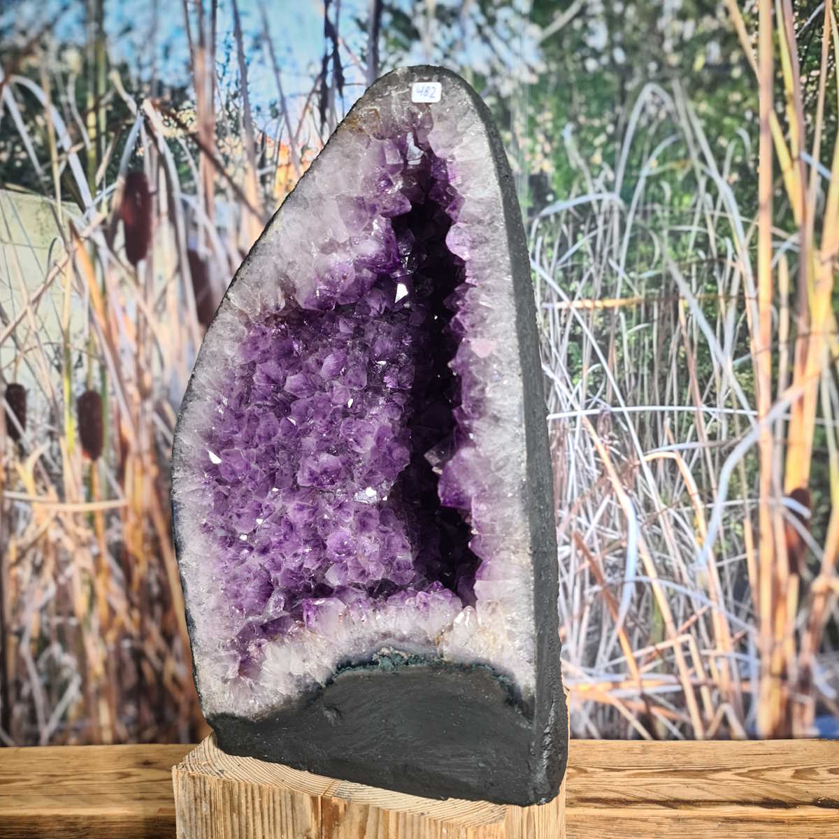 Amethyst kaufen bei Steinwelten 