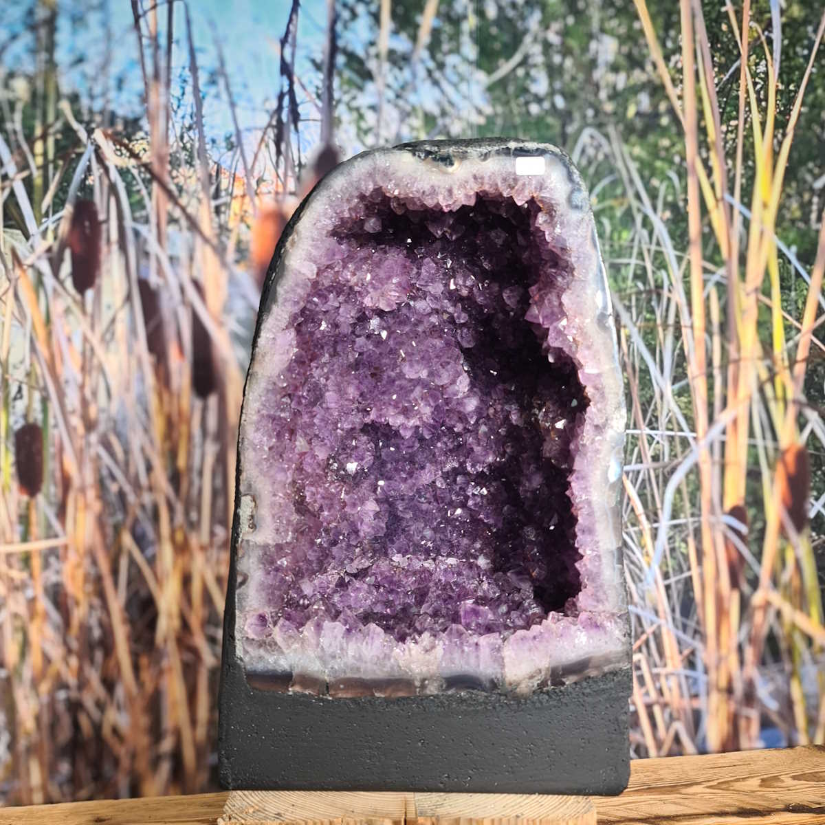 Amethyst Drusen Steinwelten 