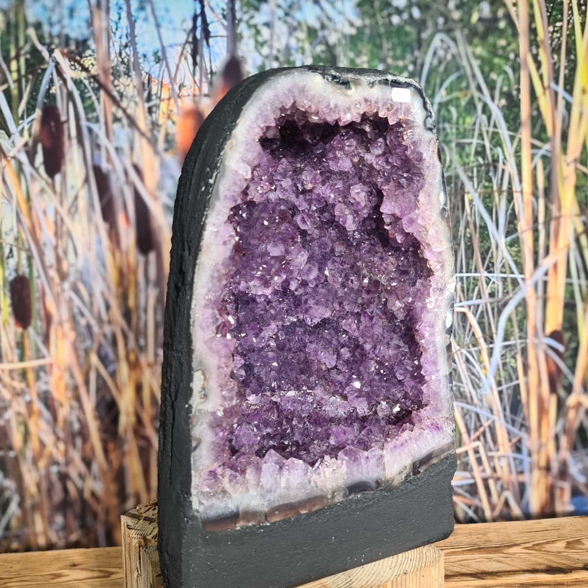 Amethyst Drusen Steinwelten 