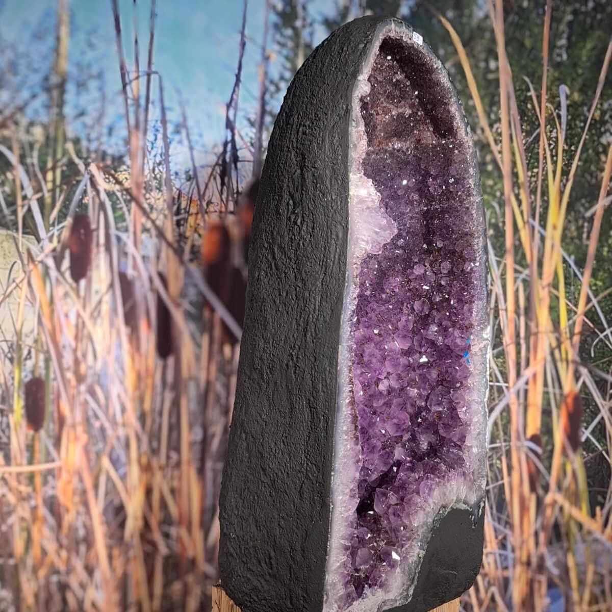 Amethyst Geode kaufen von Steinwelten 