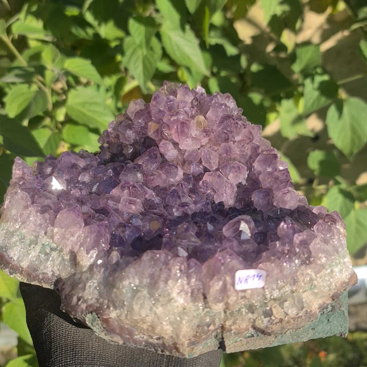 Amethyst roh von Steinwelten 