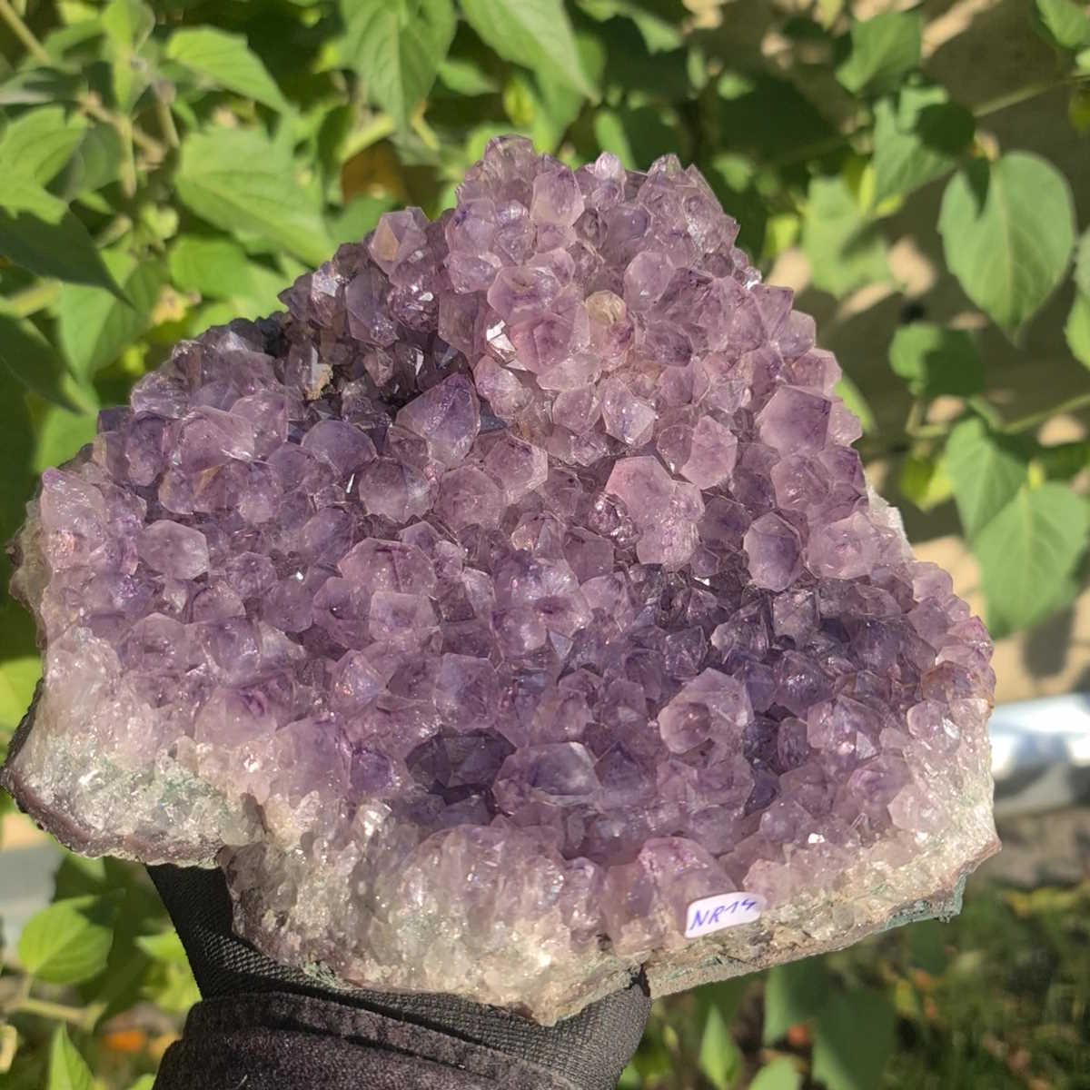 Amethyst roh von Steinwelten 