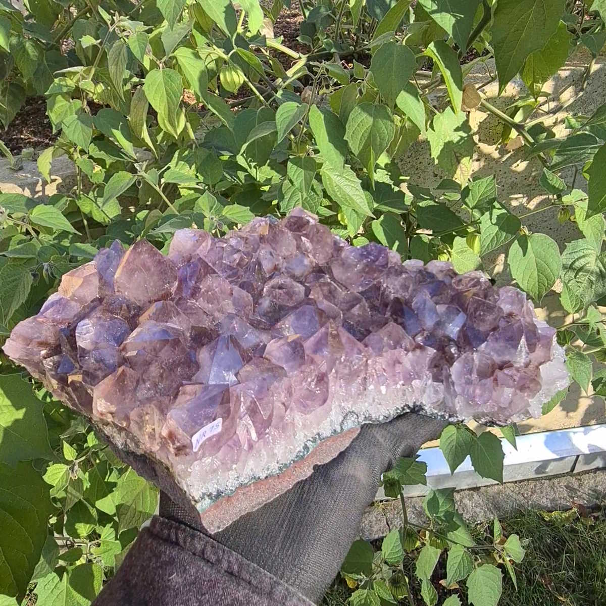 Drusen Geoden Stück aus Amethyst