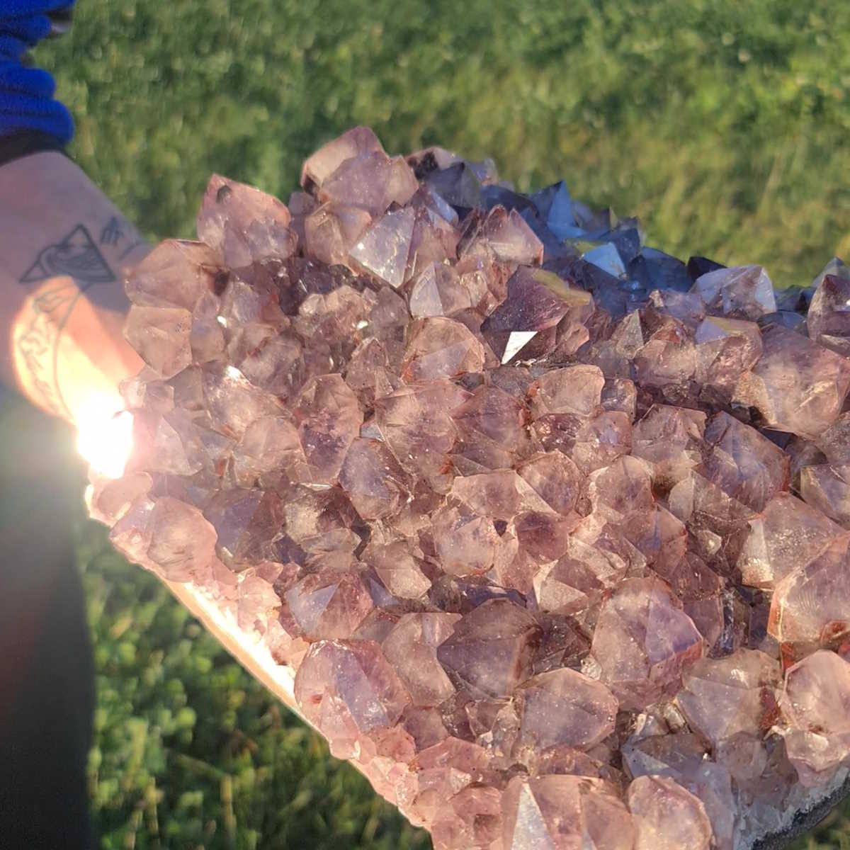 Amethyst Brasilien von Steinwelten kaufen 