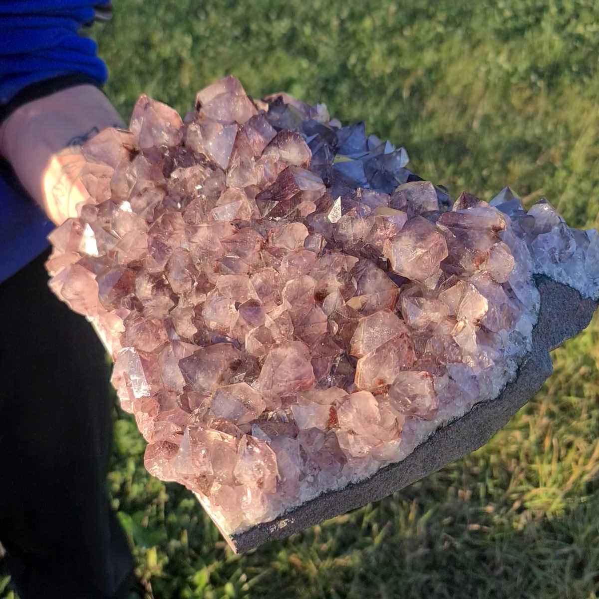 Amethyst Brasilien von Steinwelten kaufen 