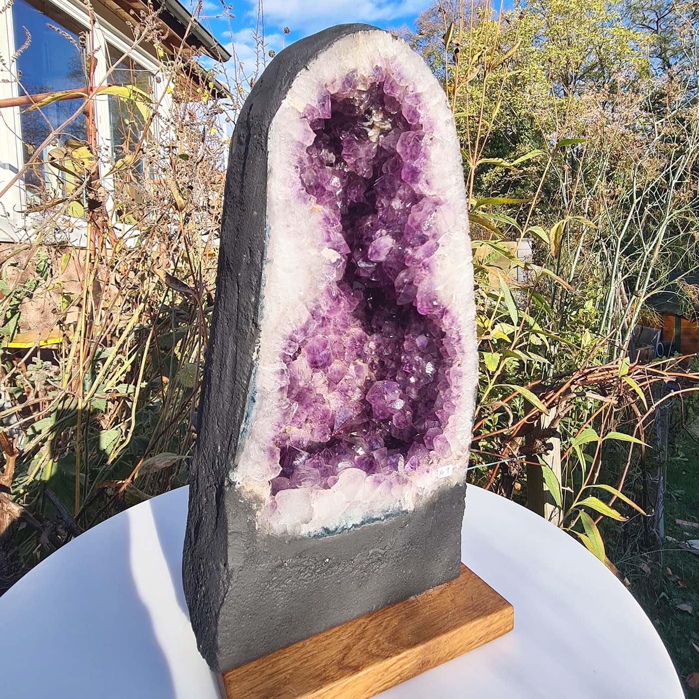 Amethystdruse von Steinwelten 