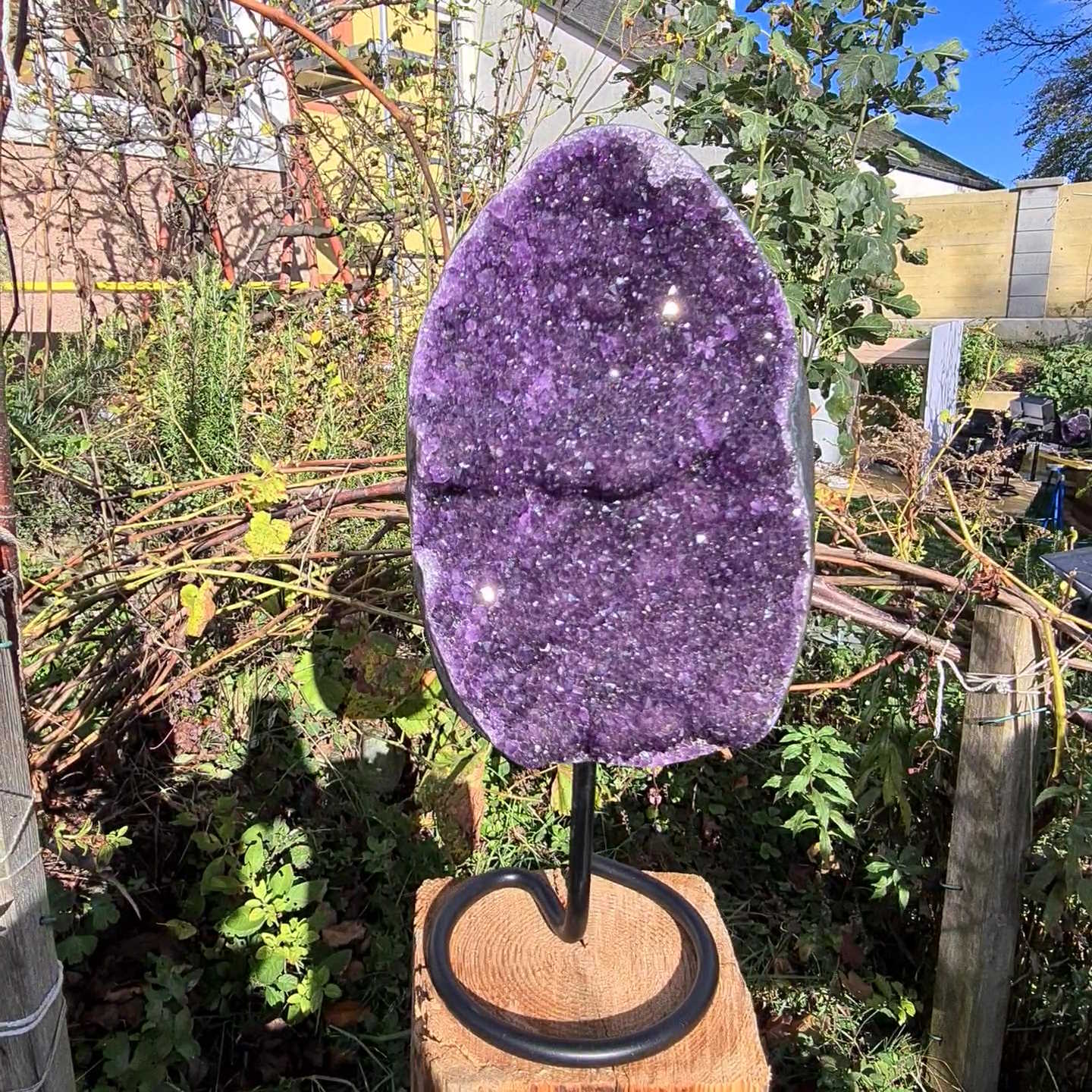 Steinwelten Amethyst Uruguay geode kaufen