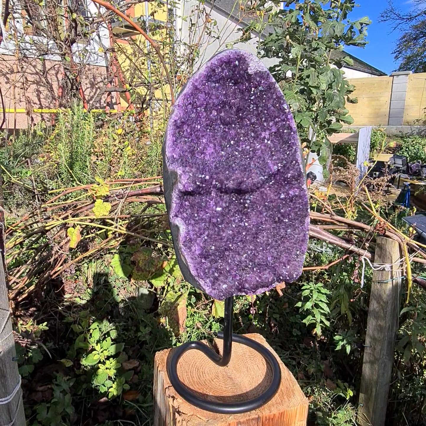 Steinwelten Amethyst Uruguay geode kaufen