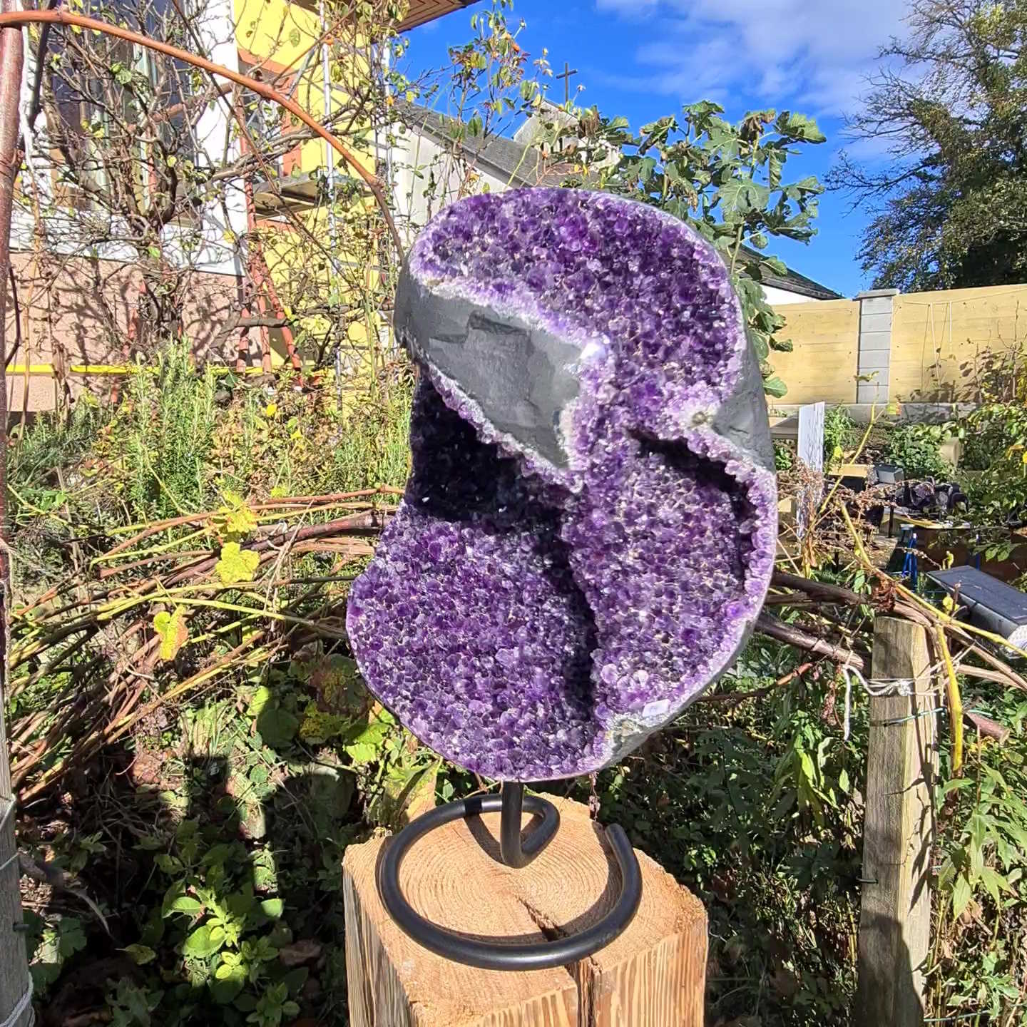 Amethyst Stufe Uruguay 614g - Amethystdruse - Mineralien - Amethyst