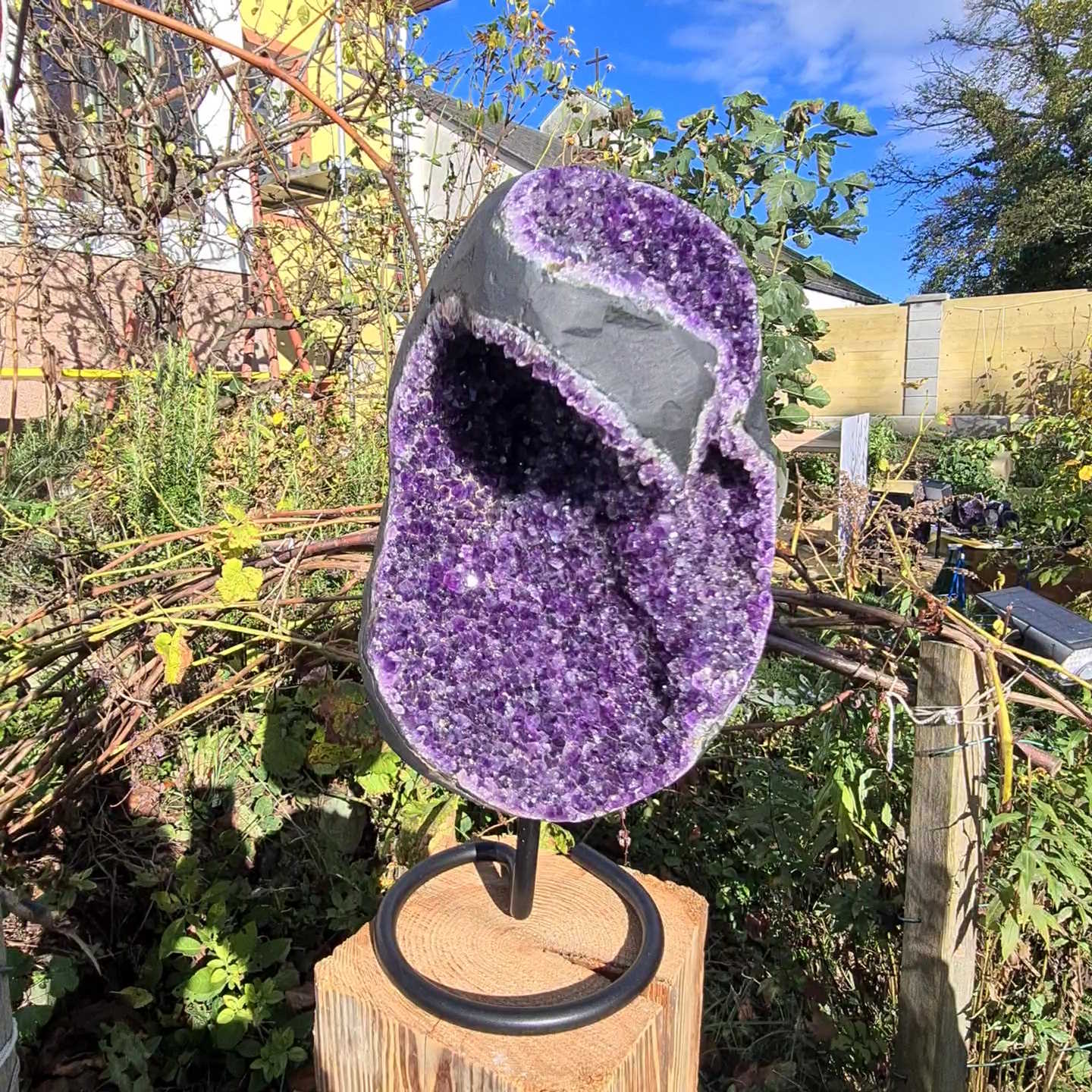Amethyst von Steinwelten in Graz kaufen 