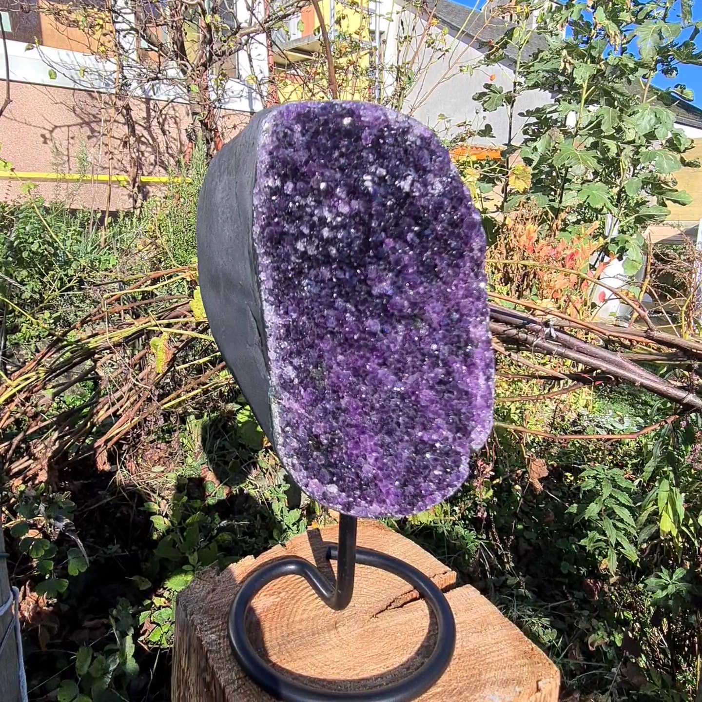 Große Amethystdruse aus Uruguay