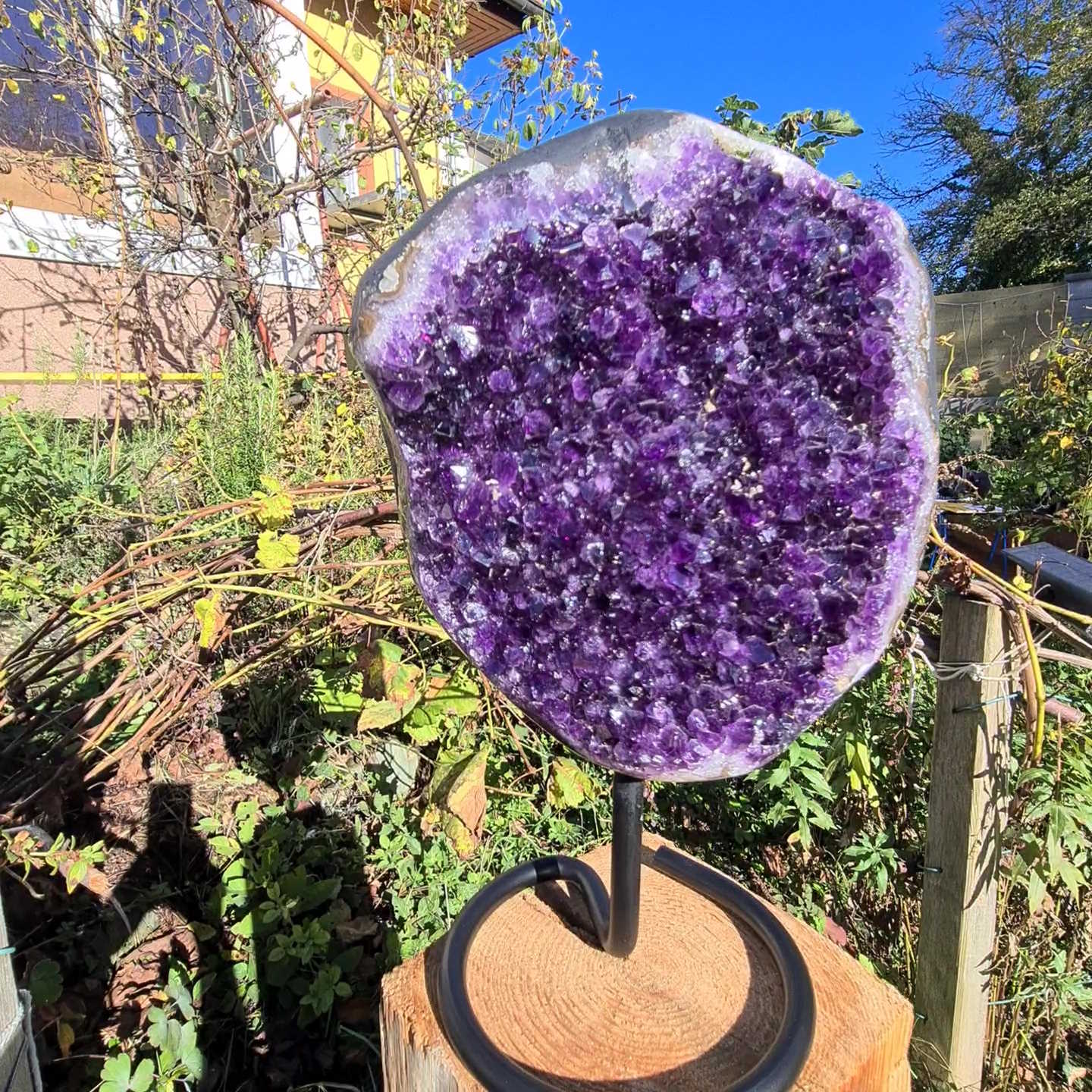 Kleine Amethystdruse kaufen 