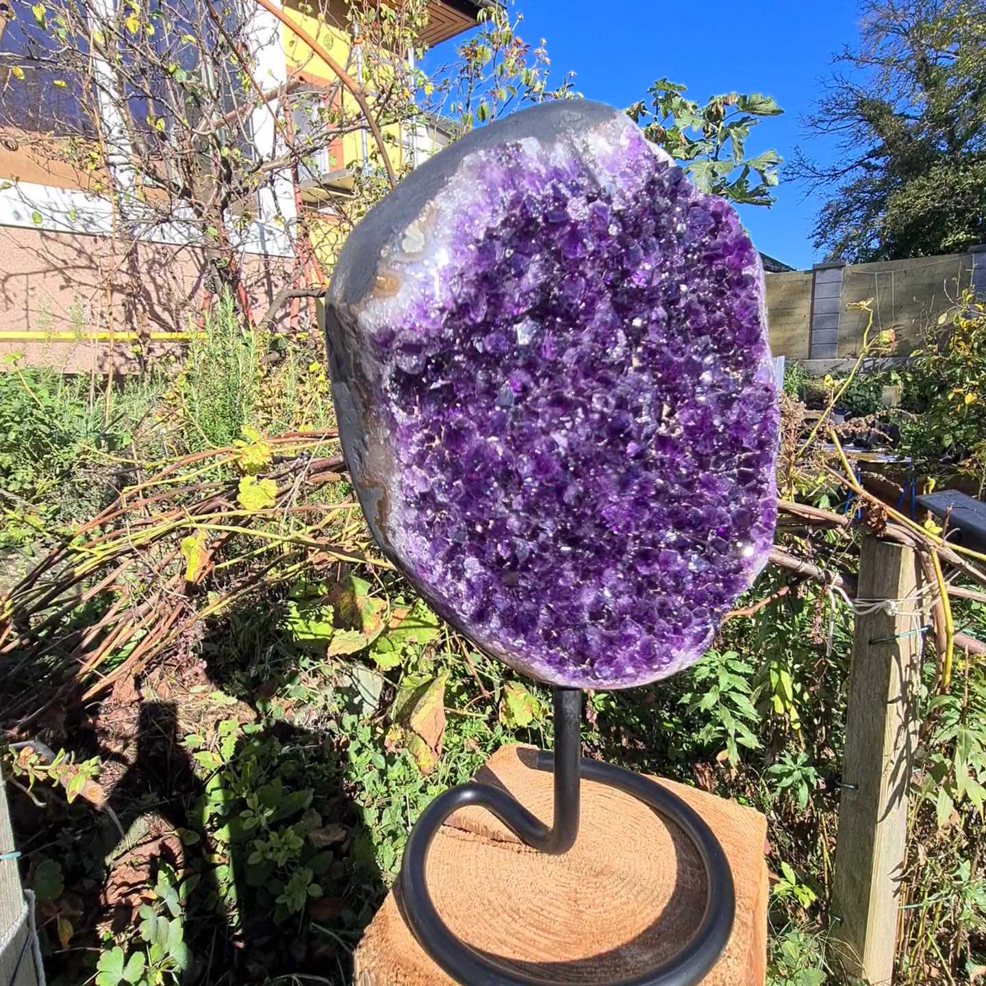 Kleine Amethystdruse kaufen 