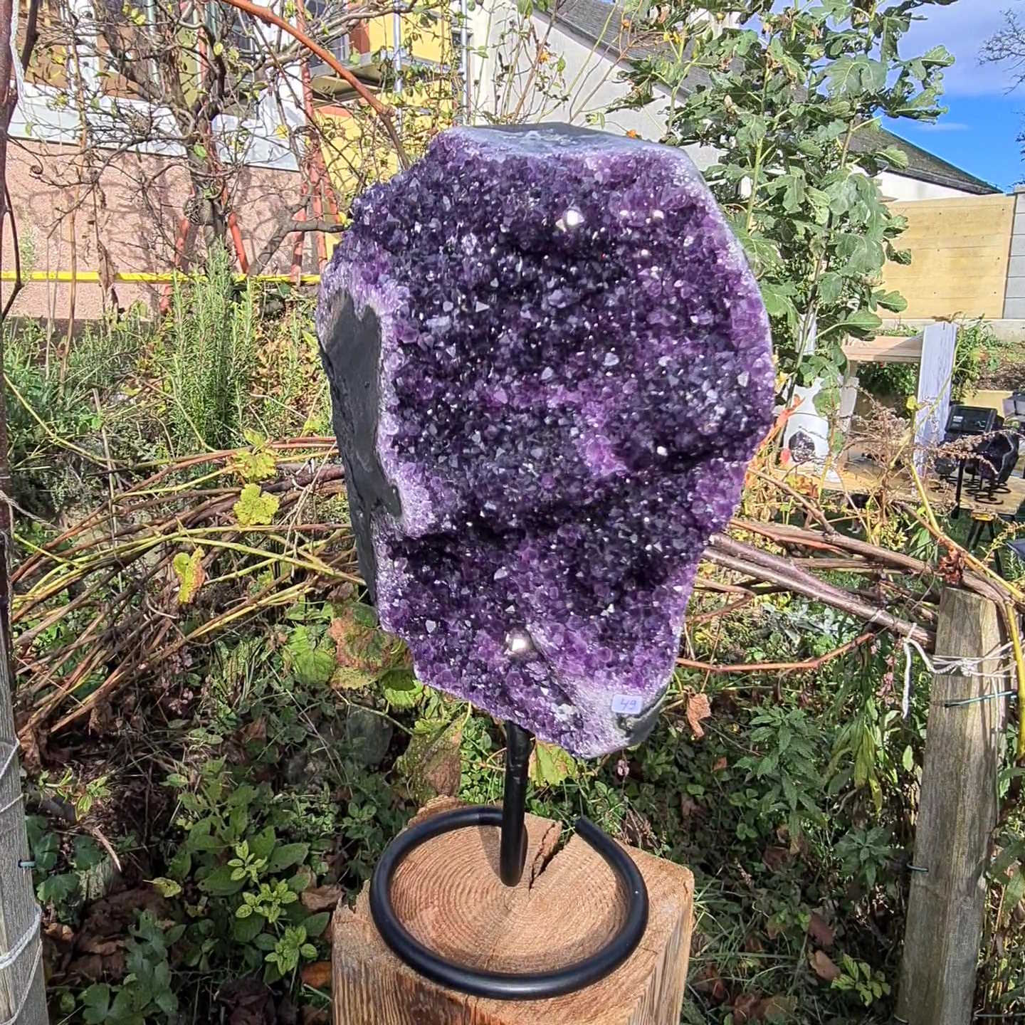 Amethystgeode von Steinwelten