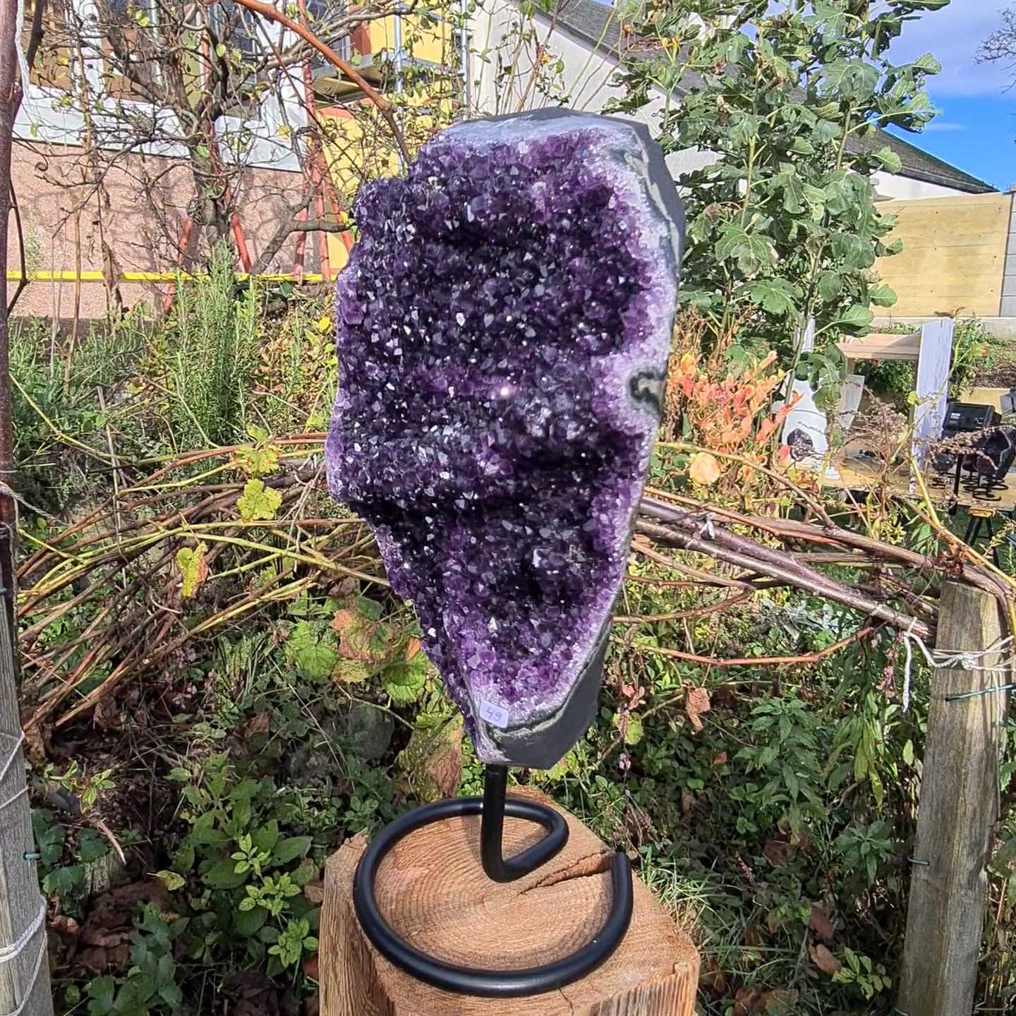 Amethystgeode von Steinwelten