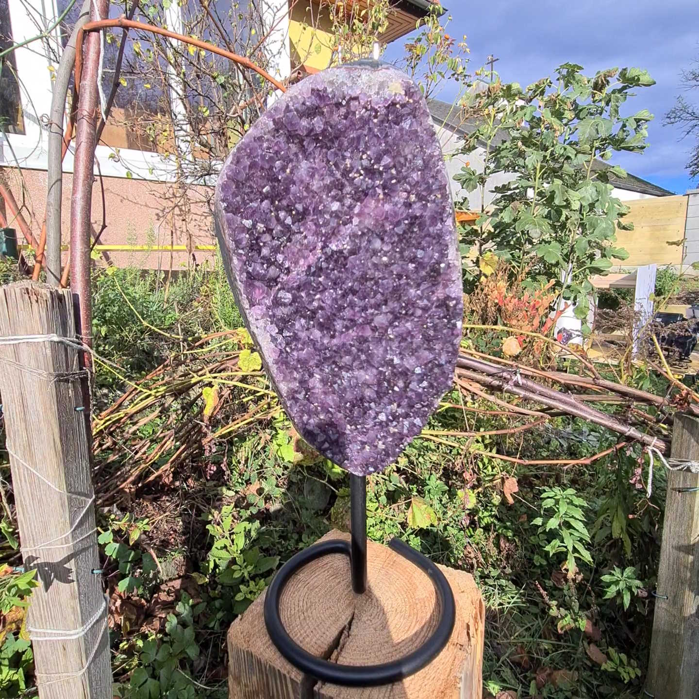 Amethyst Cluster auf Ständer