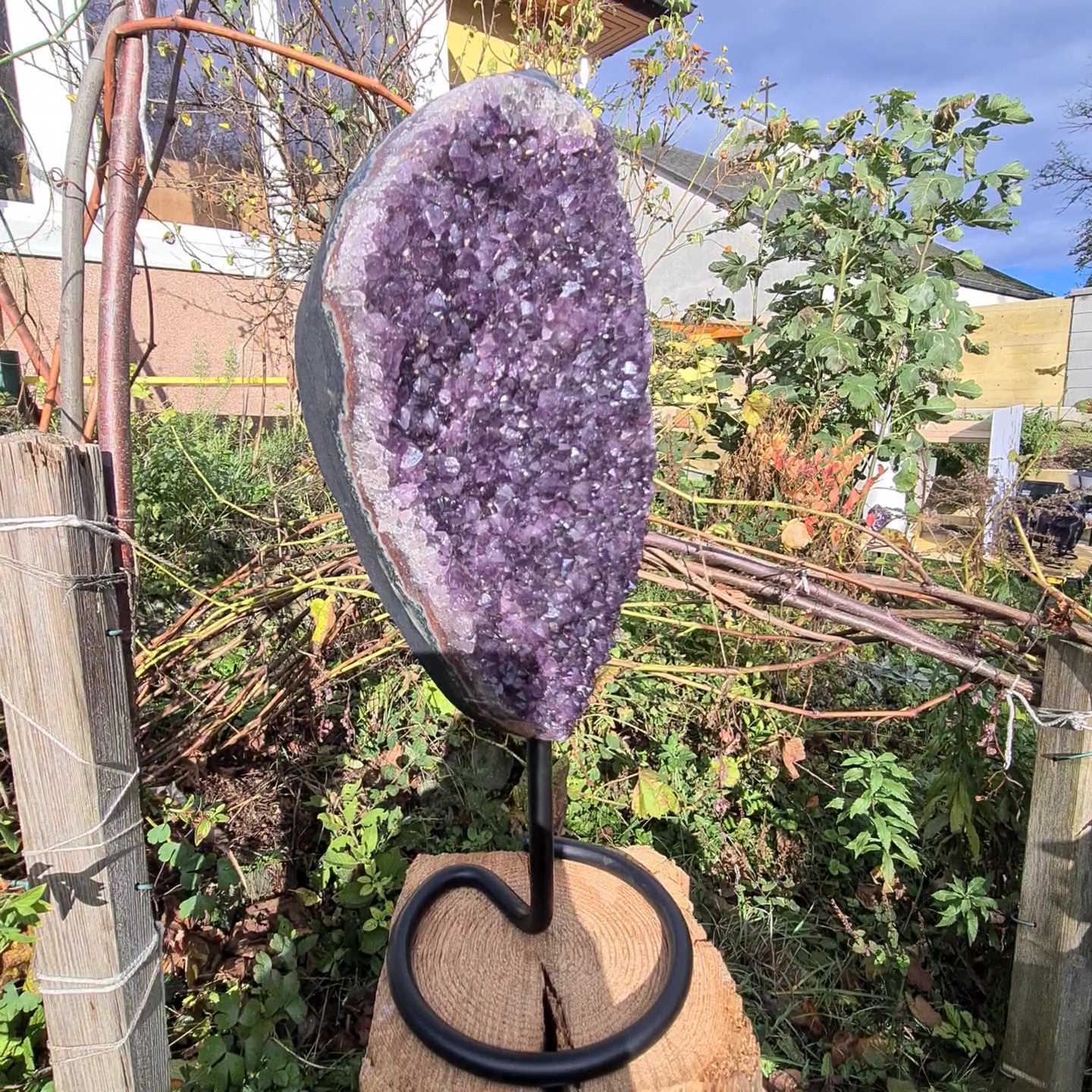 Amethyst Cluster auf Ständer