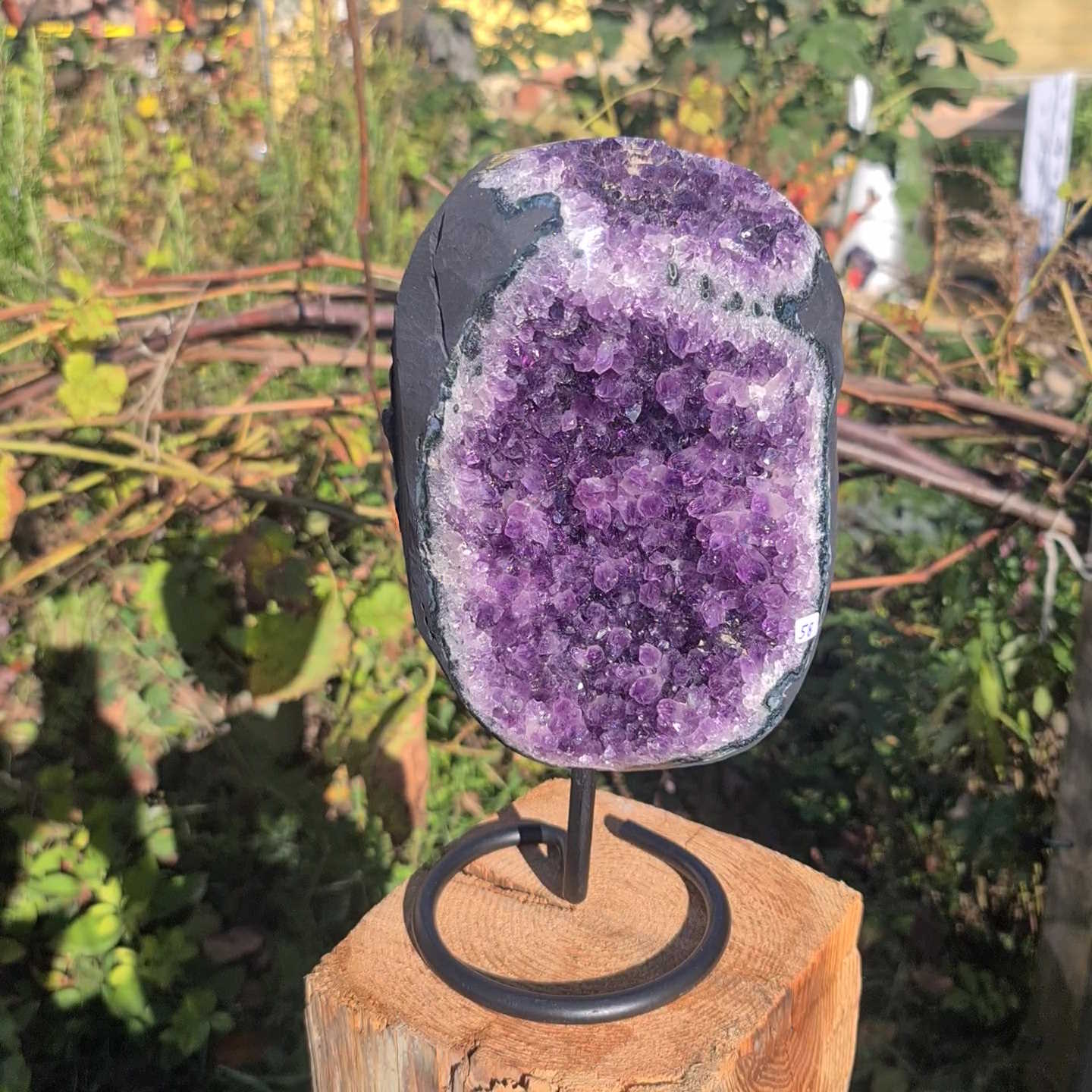 Kleine Amethys Geode von Steinwelten 