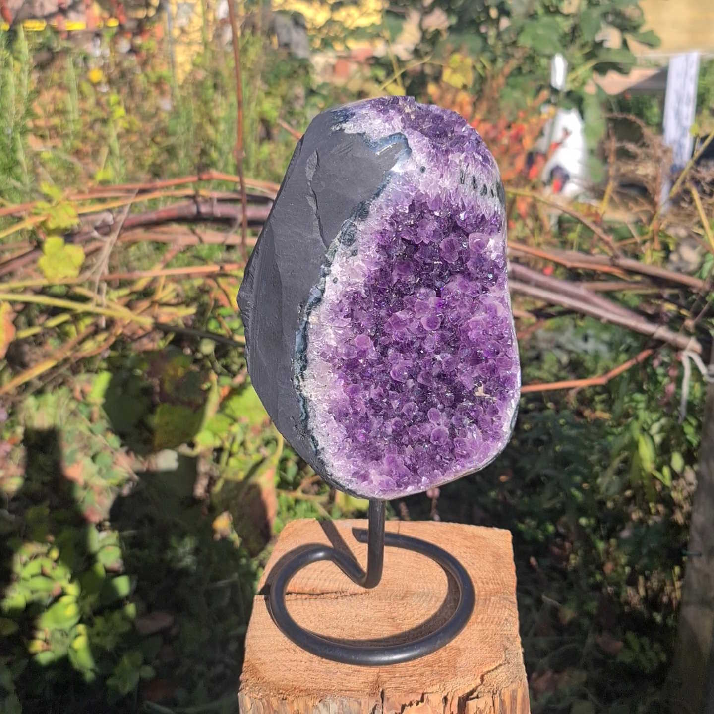 Kleine Amethys Geode von Steinwelten 