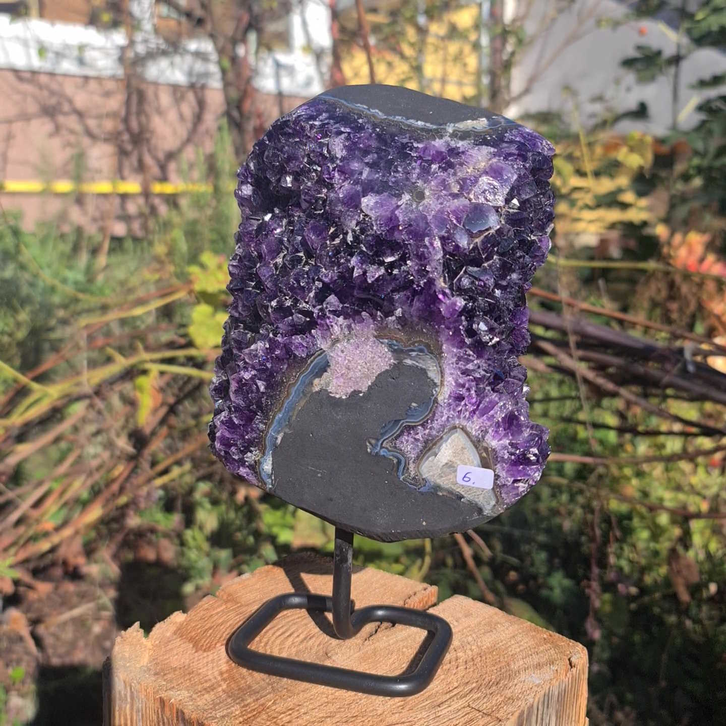 Kleine Amethystdruse kaufen