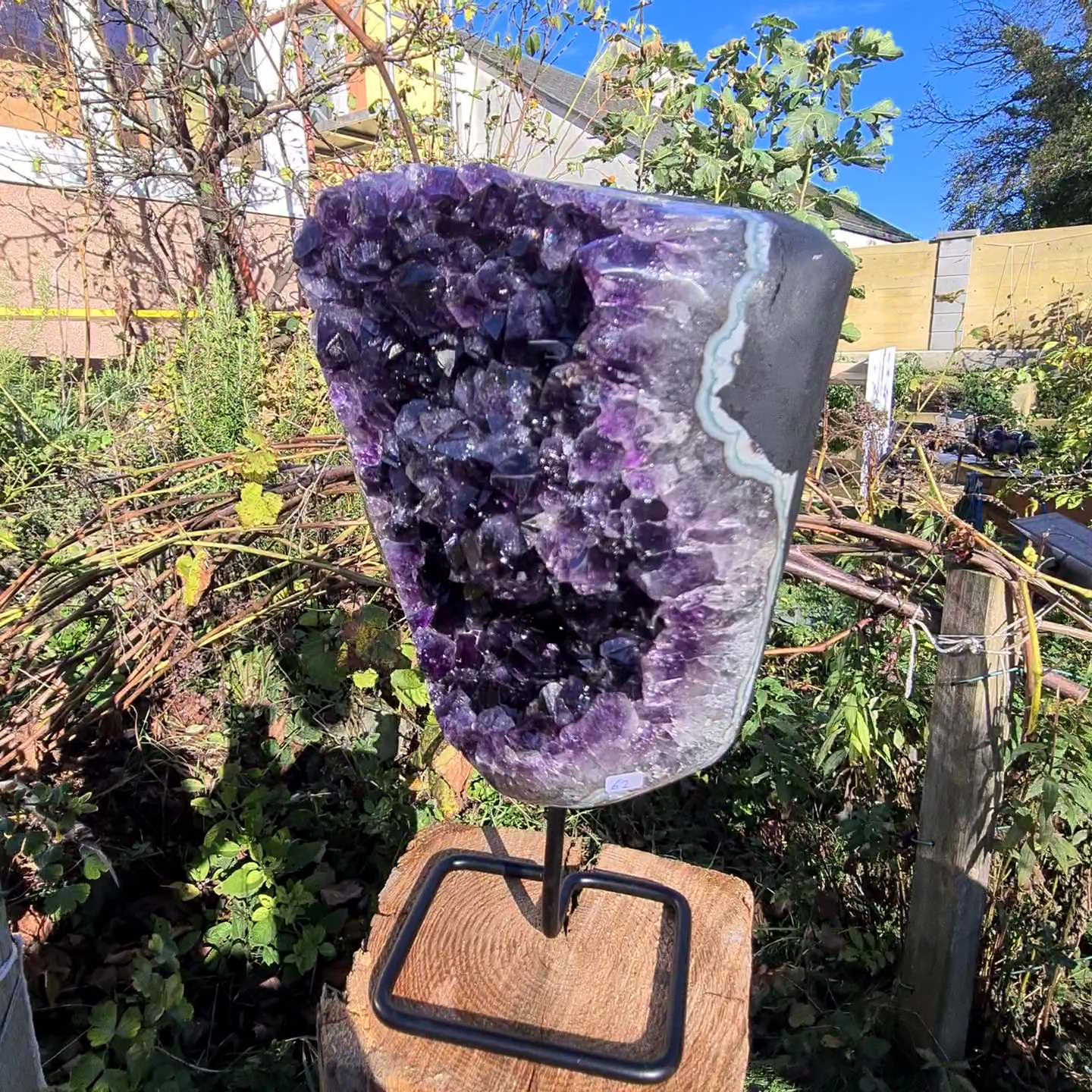Amethyst Druse aus Uruguay von Steinwelten 