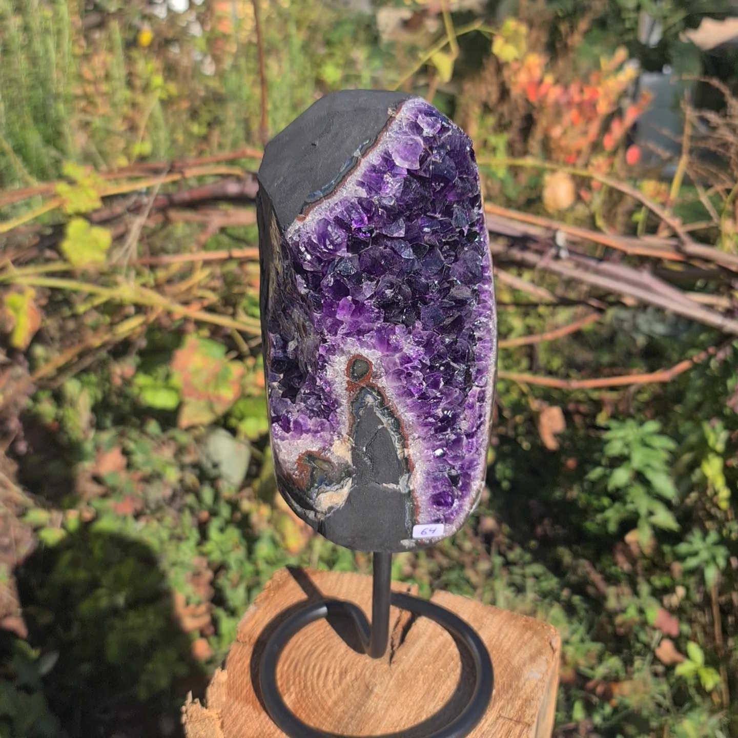 Kleine Amethyst Druse kaufen