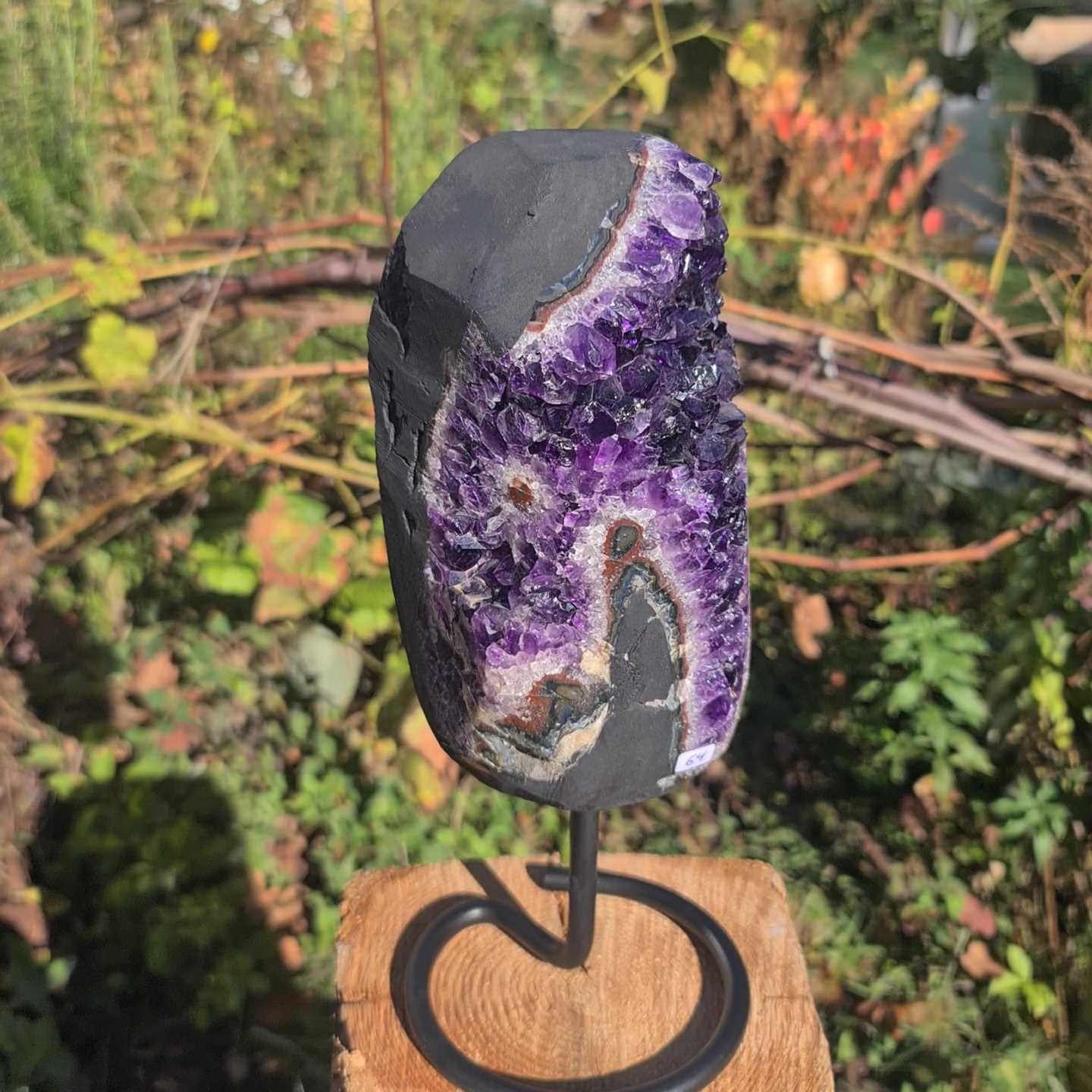 Kleine Amethyst Druse kaufen