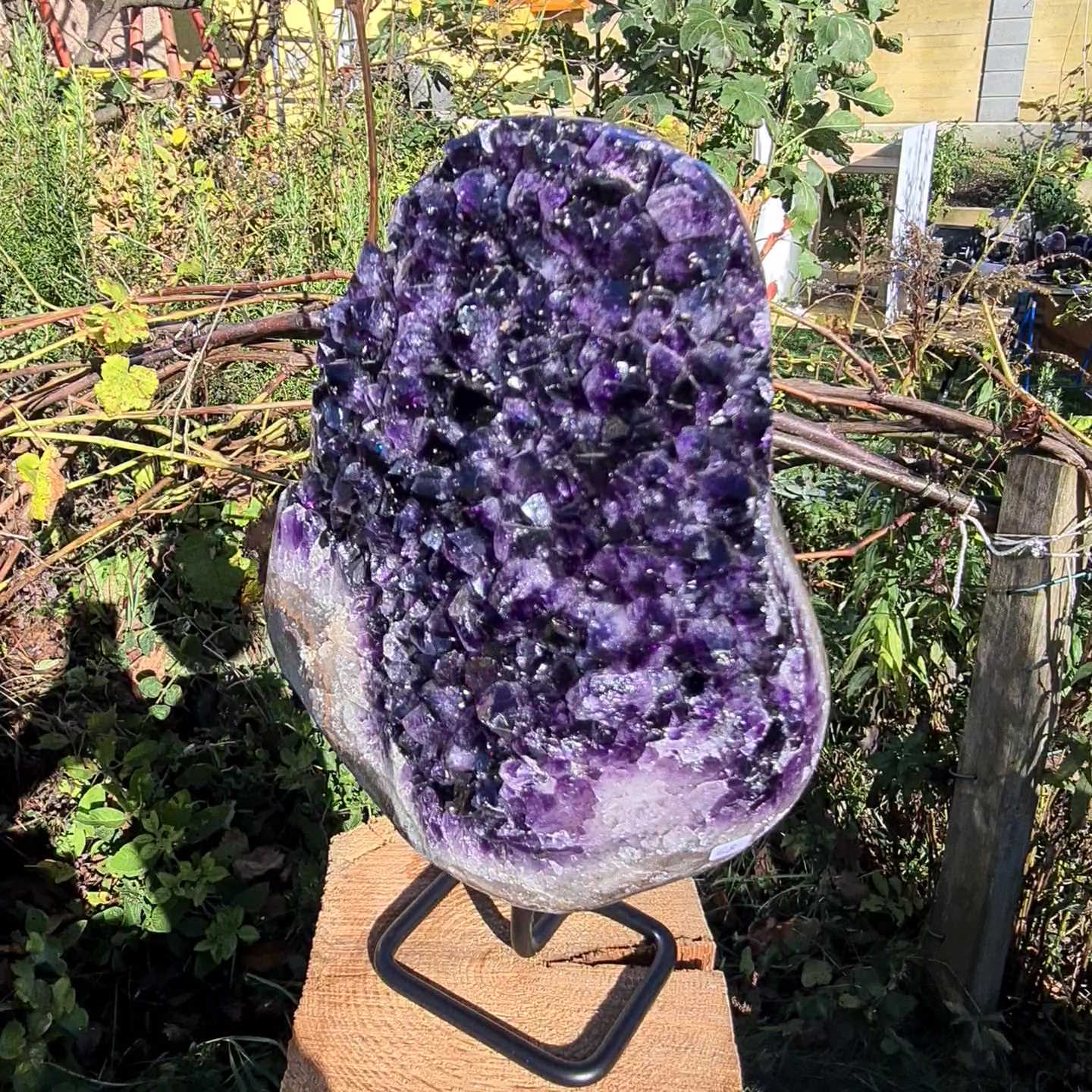 Amethyst Geode aus Uruguay