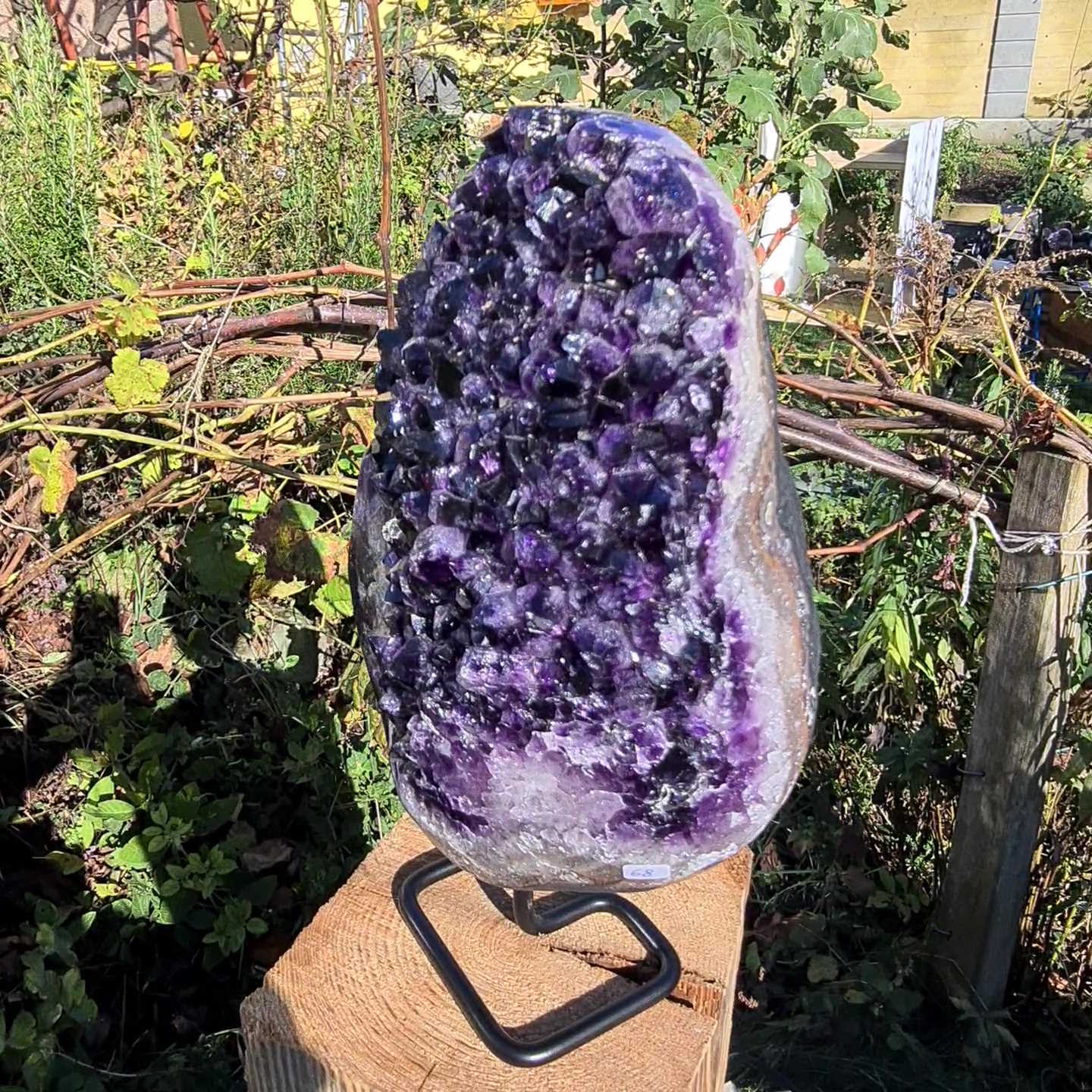 Amethyst Geode aus Uruguay