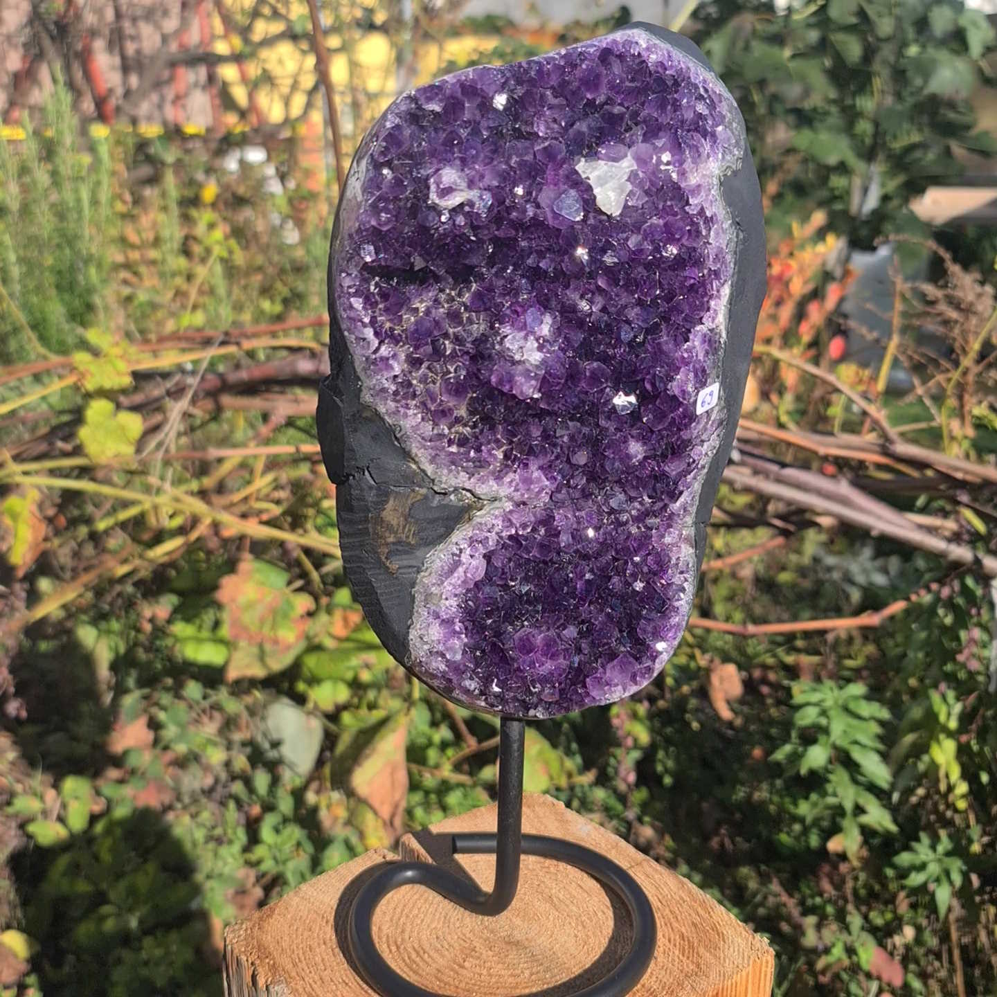 Amethyst Geode Druse