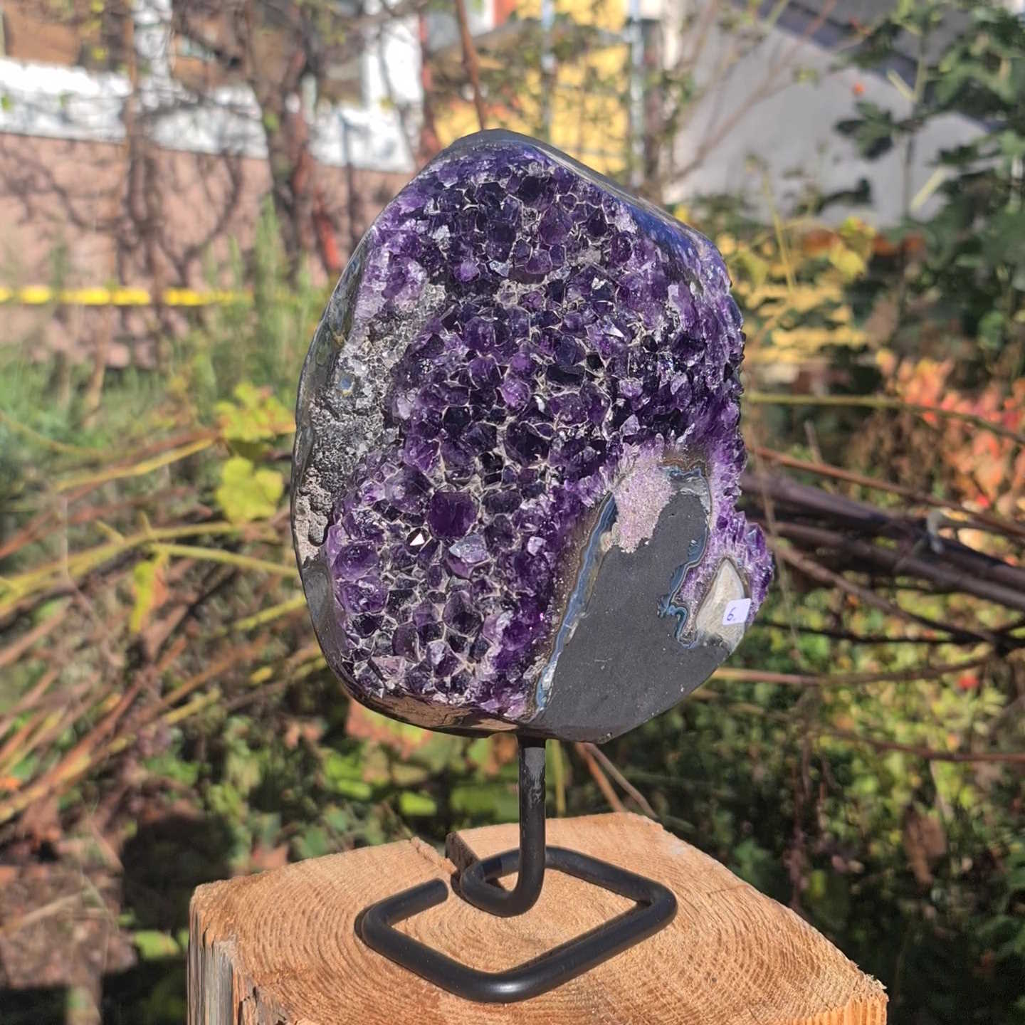 Kleine Amethystdruse kaufen